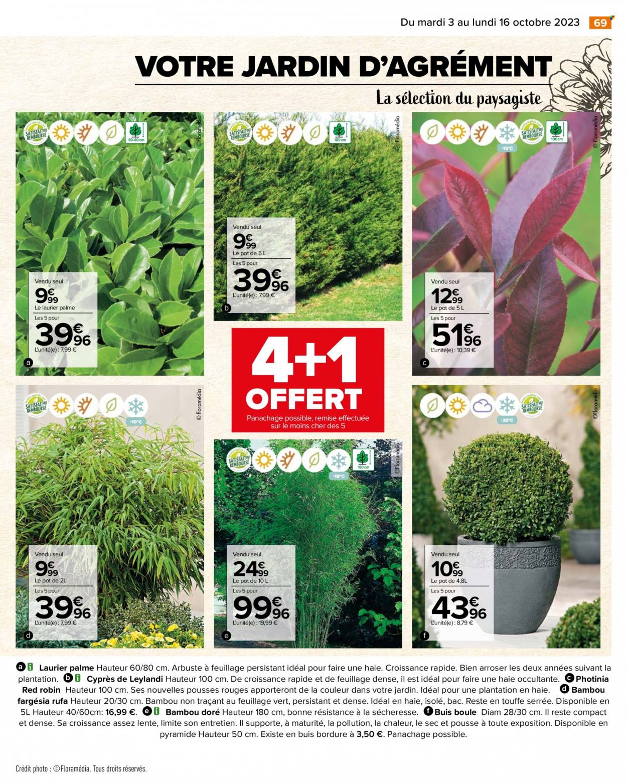 Catalogue Carrefour Hypermarchés. Page 71