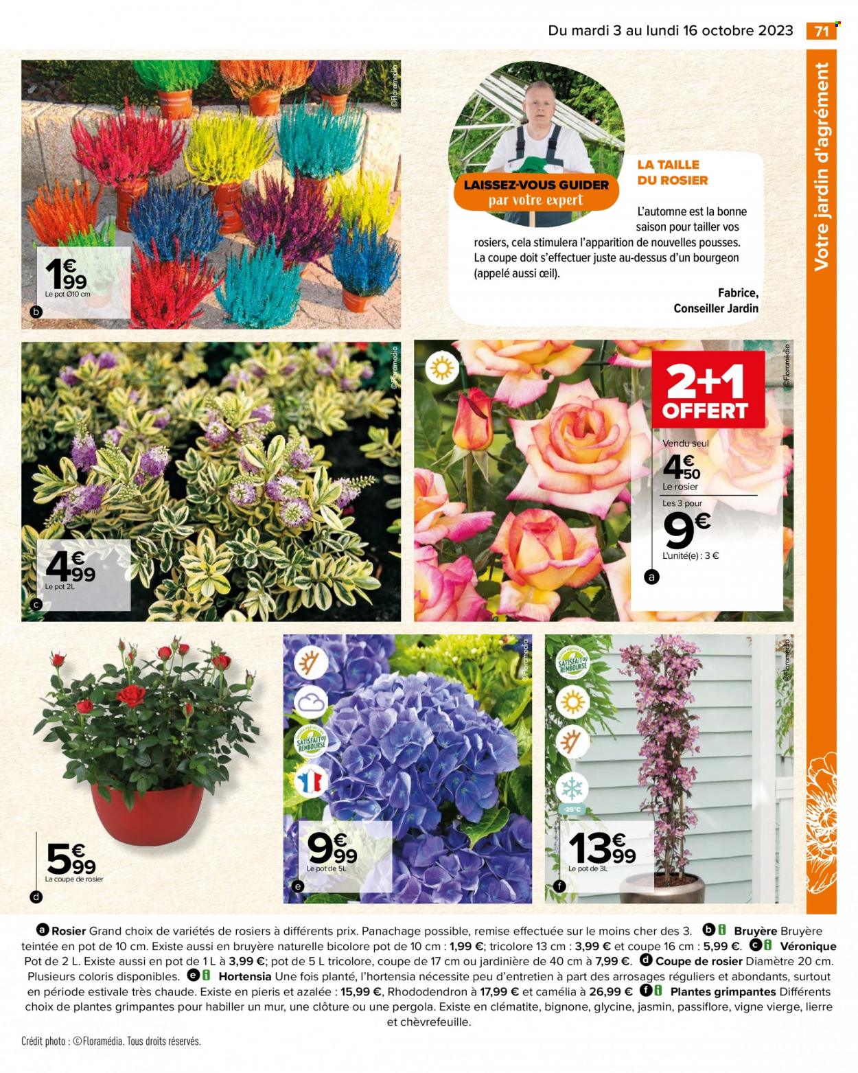 Catalogue Carrefour Hypermarchés. Page 73