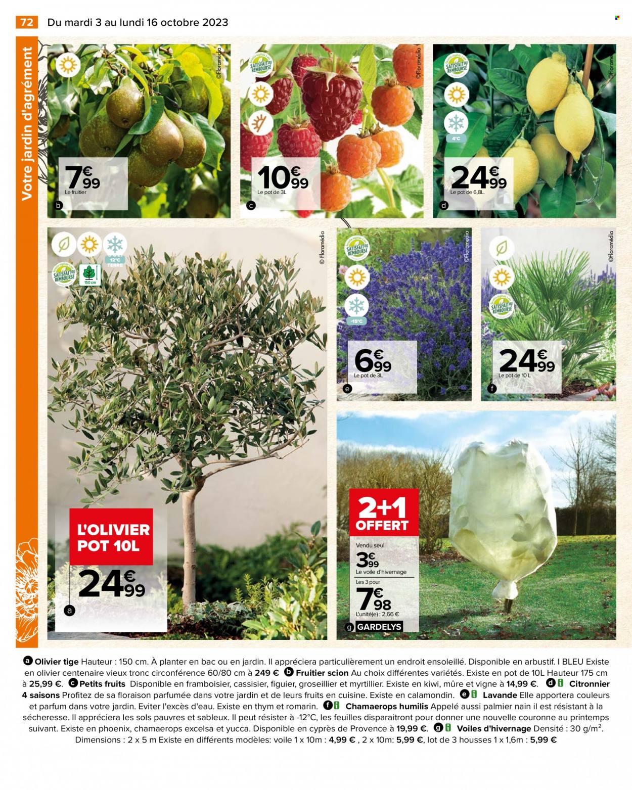 Catalogue Carrefour Hypermarchés. Page 74