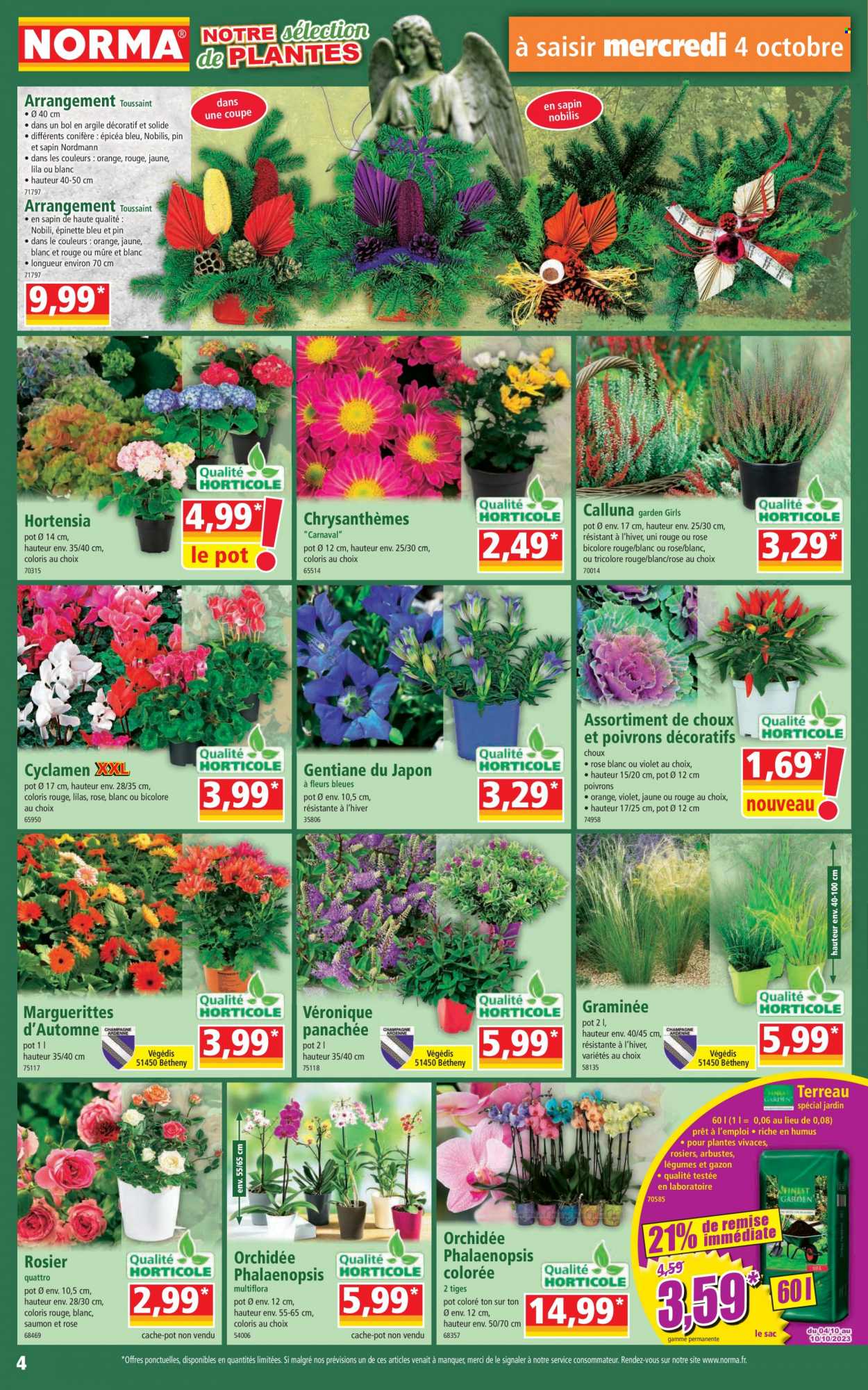 Catalogue Norma - 04/10/2023 - 10/10/2023. Page 4