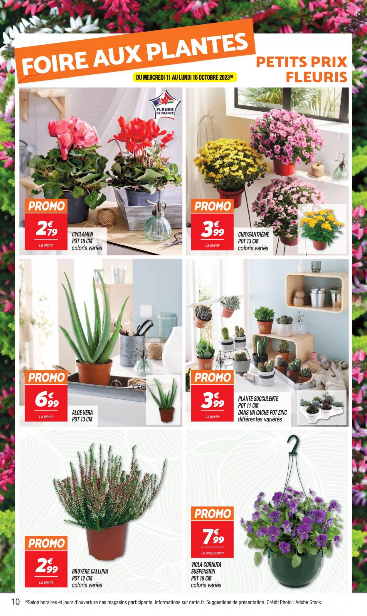 Catalogue Netto - 10/10/2023 - 16/10/2023. Page 10