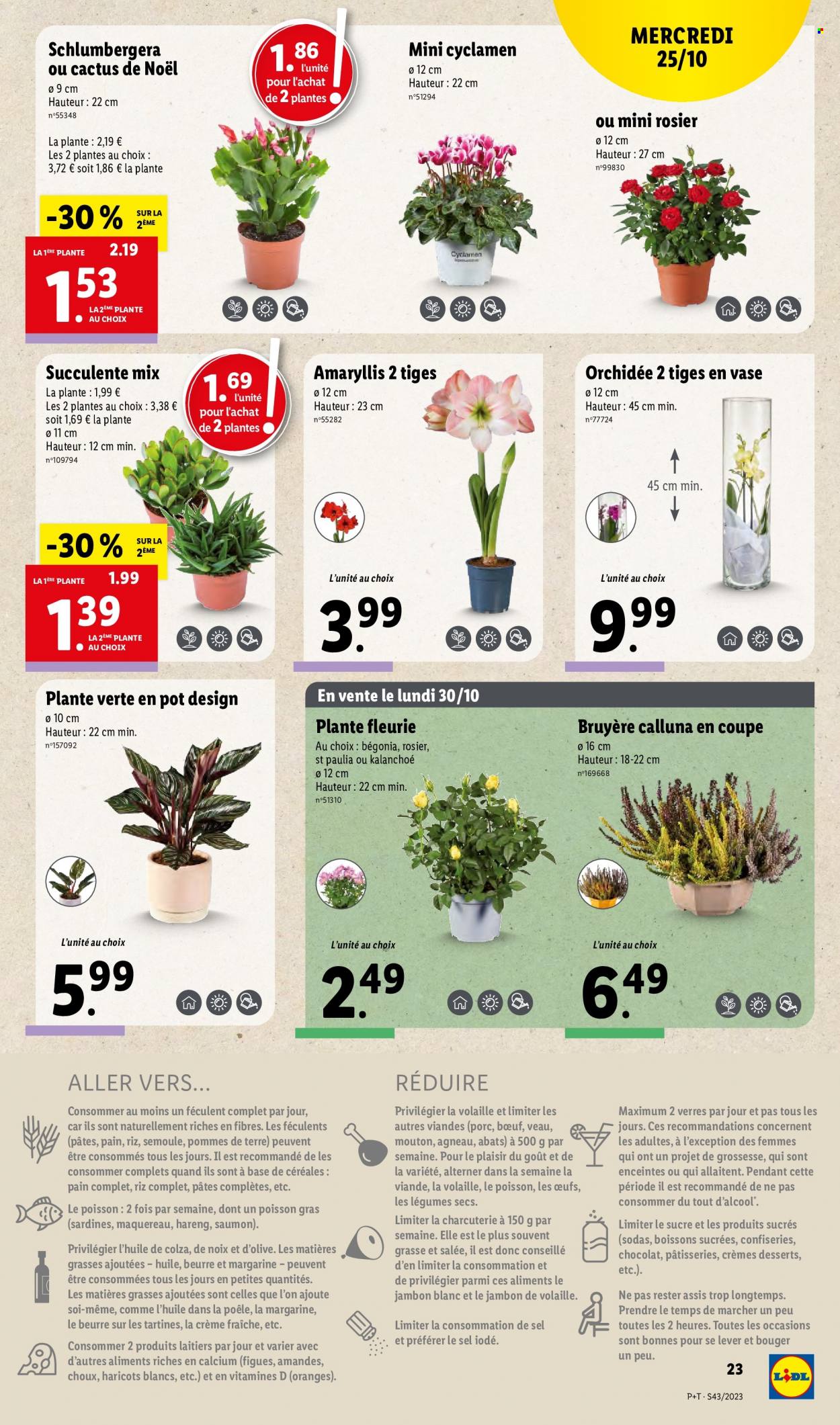Catalogue Lidl - 25/10/2023 - 31/10/2023. Page 23