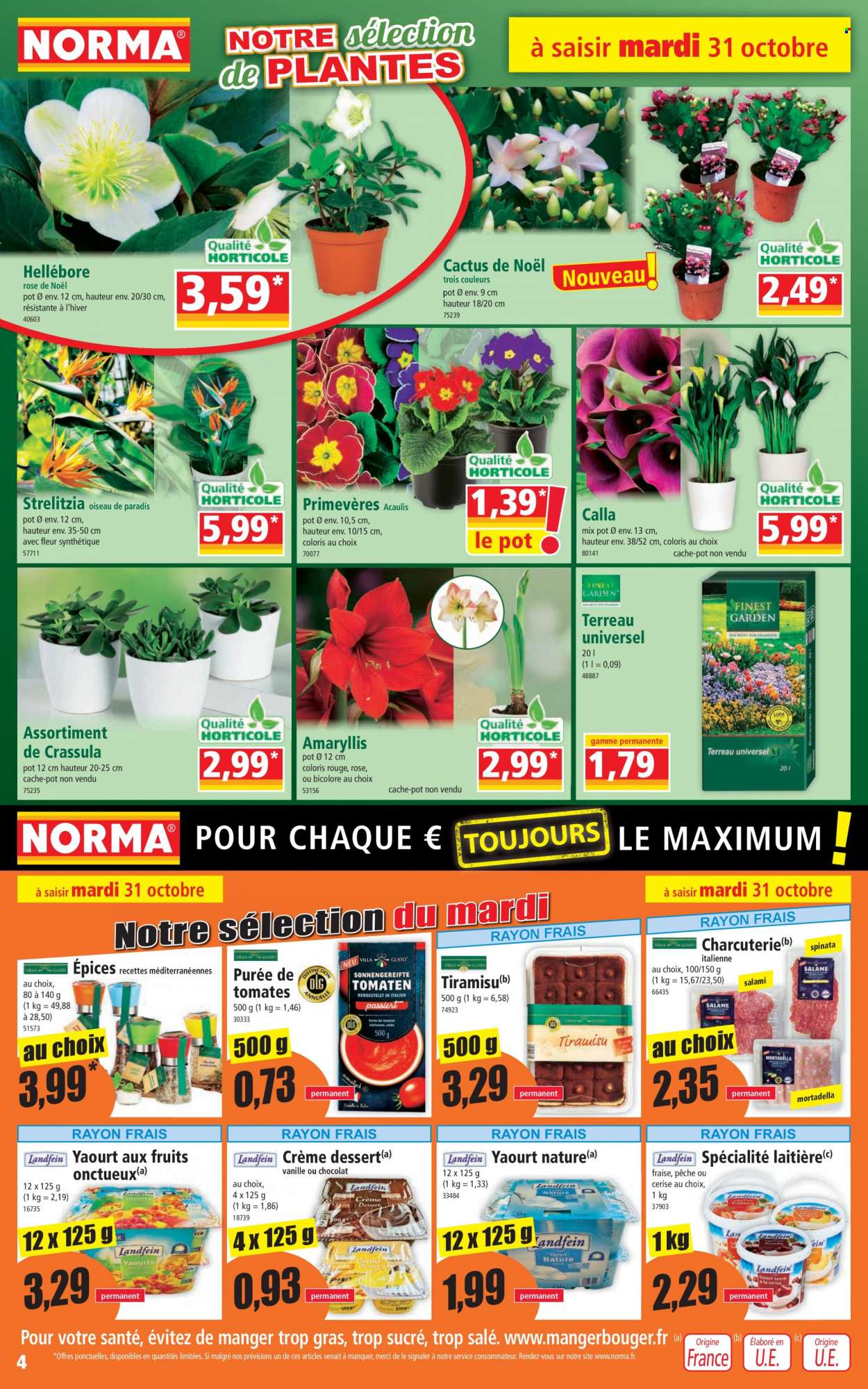 Catalogue Norma - 31/10/2023 - 07/11/2023. Page 4