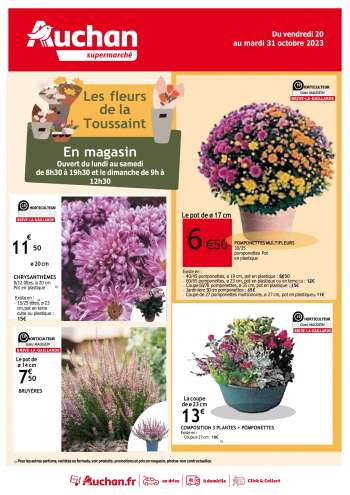 Catalogue Auchan - 20/10/2023 - 31/10/2023.