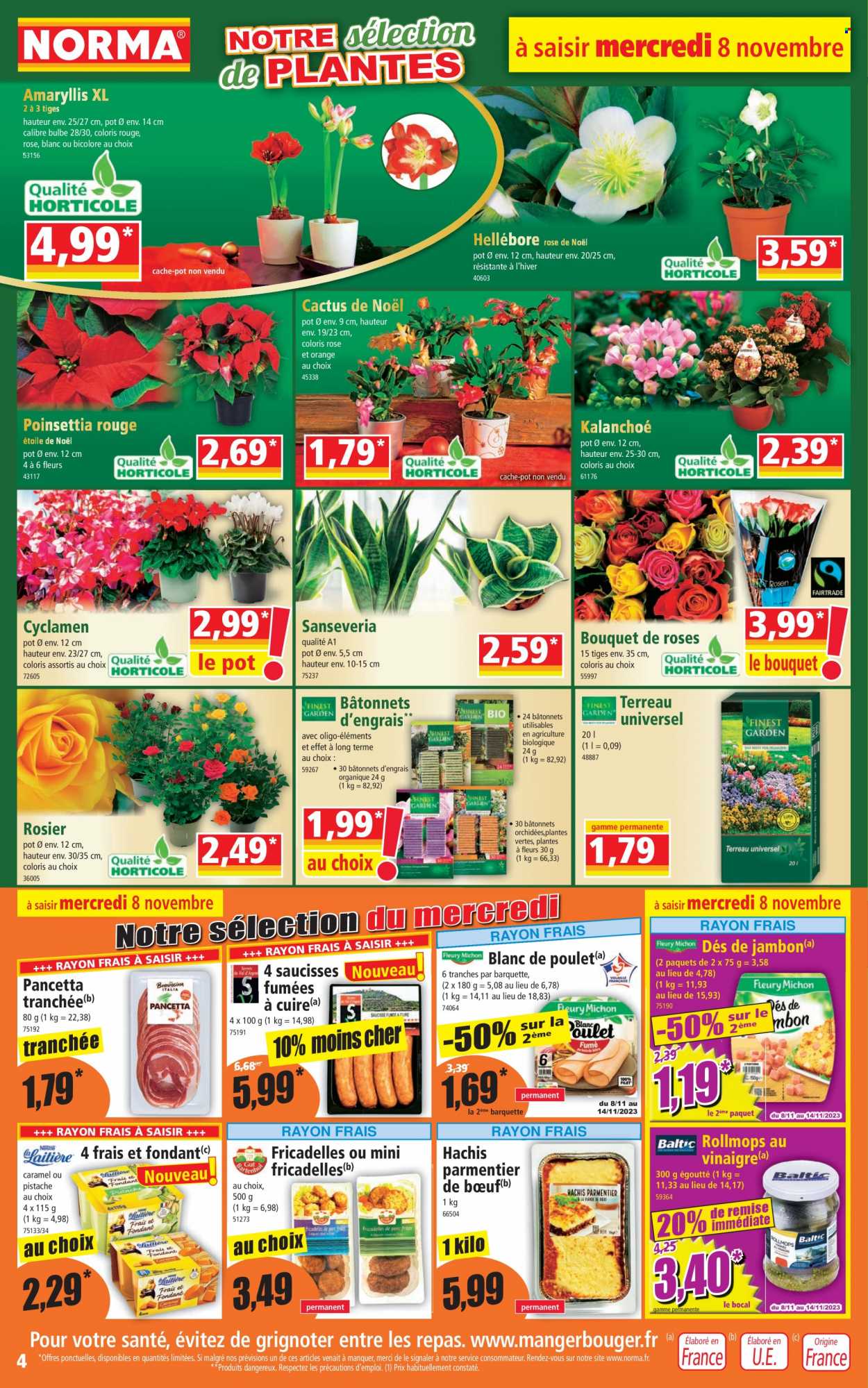 Catalogue Norma - 08/11/2023 - 14/11/2023. Page 4