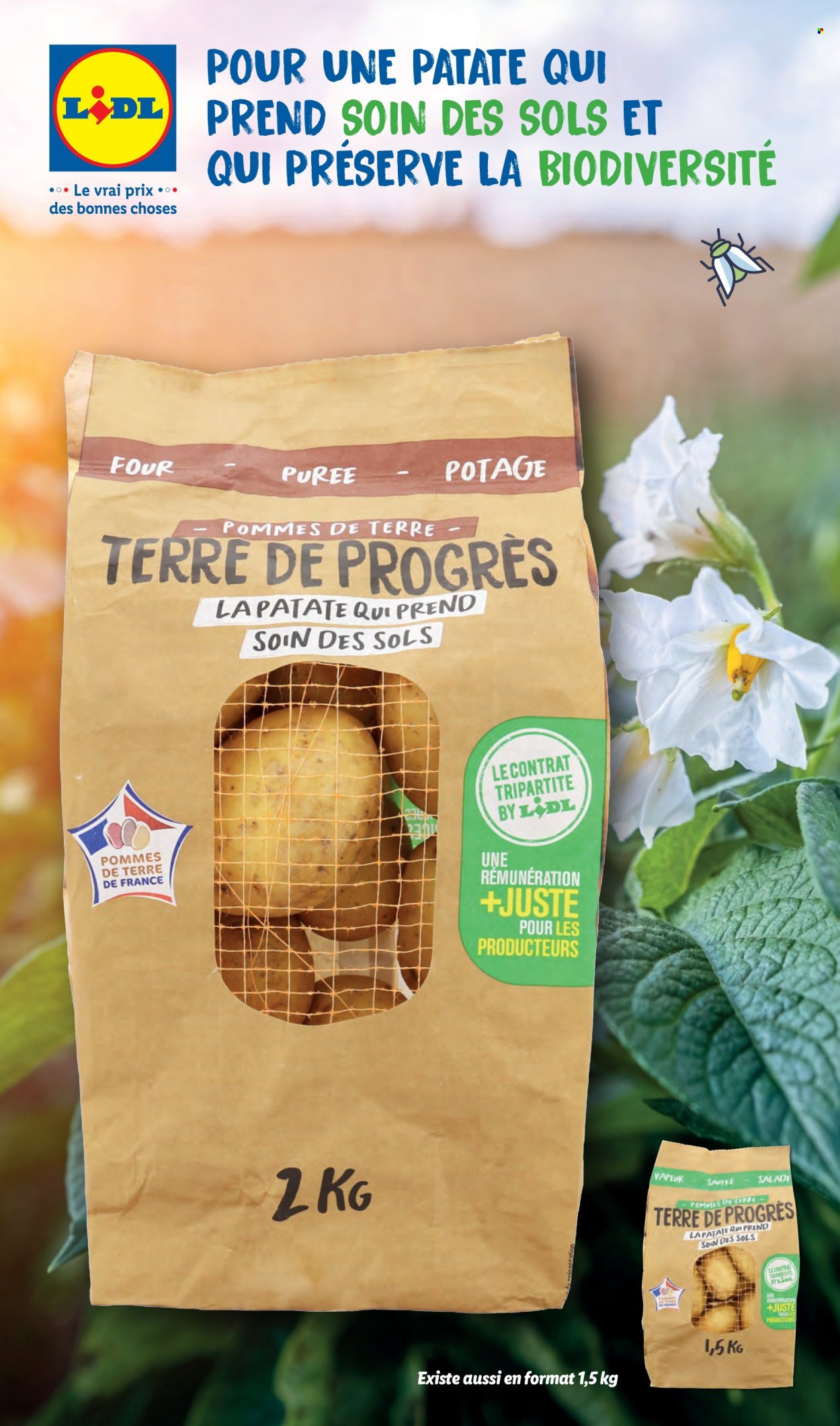 Catalogue Lidl - 15/11/2023 - 21/11/2023. Page 49