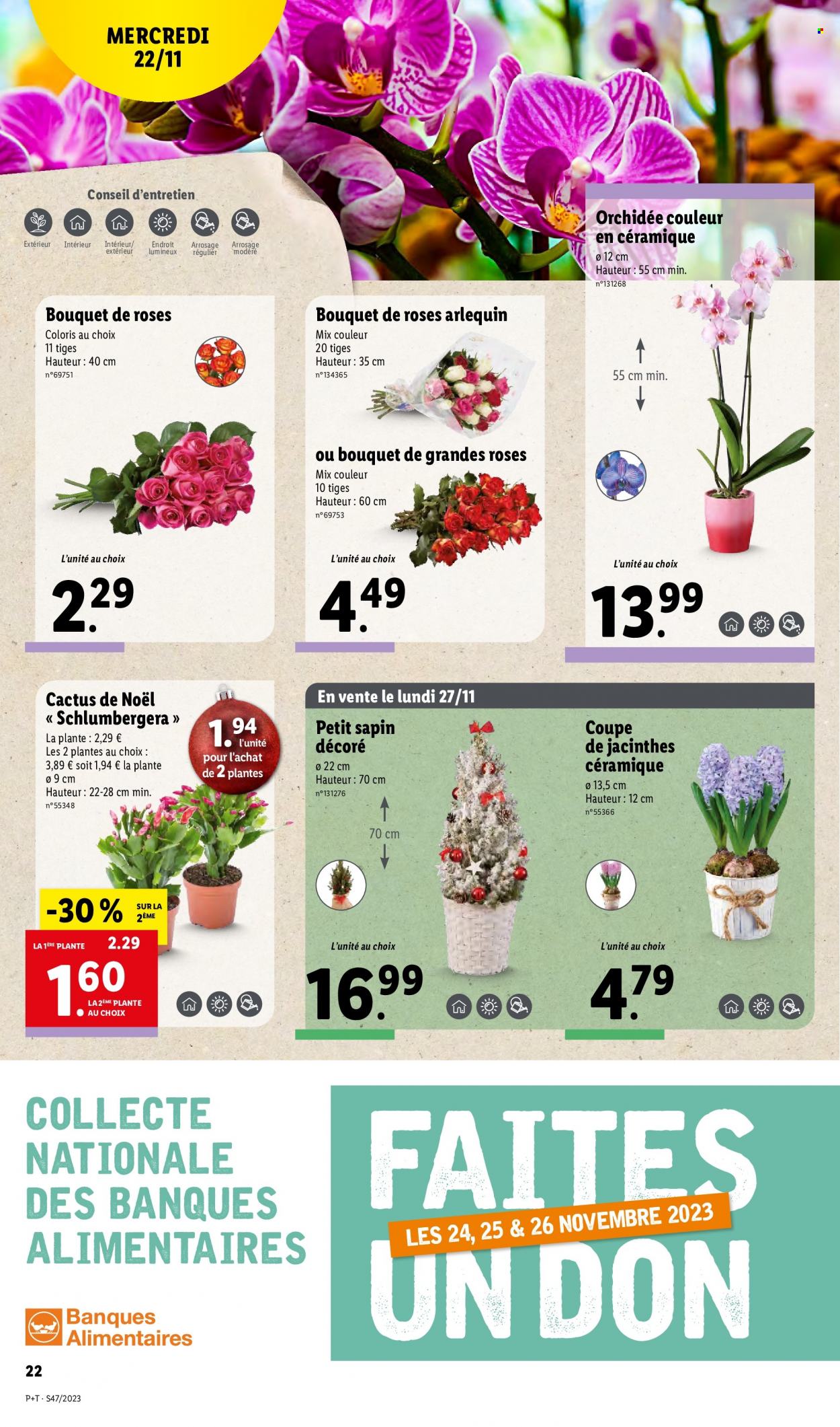 Catalogue Lidl - 22/11/2023 - 28/11/2023. Page 22