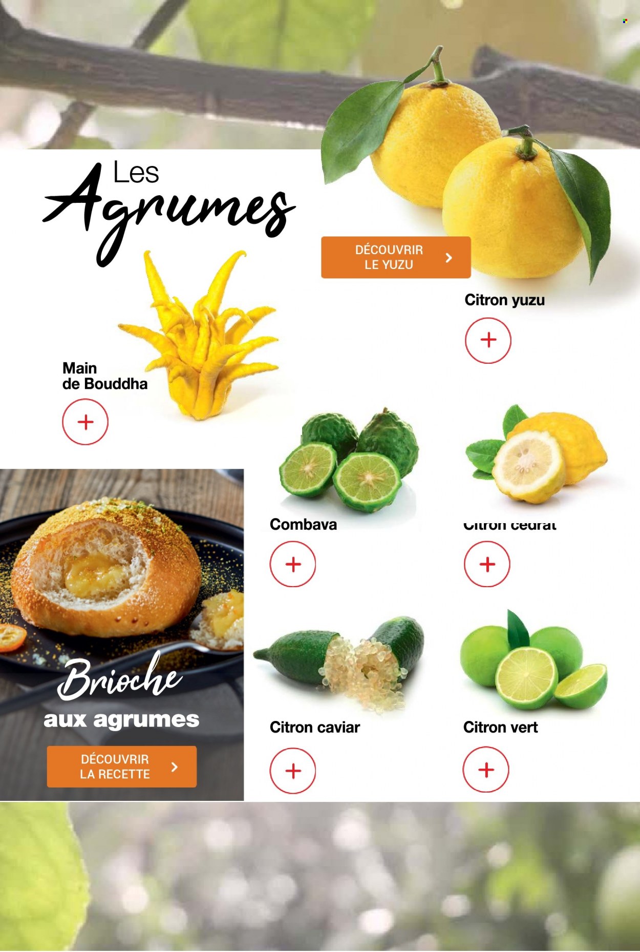 Catalogue Promocash - 26/10/2023 - 18/11/2023. Page 21