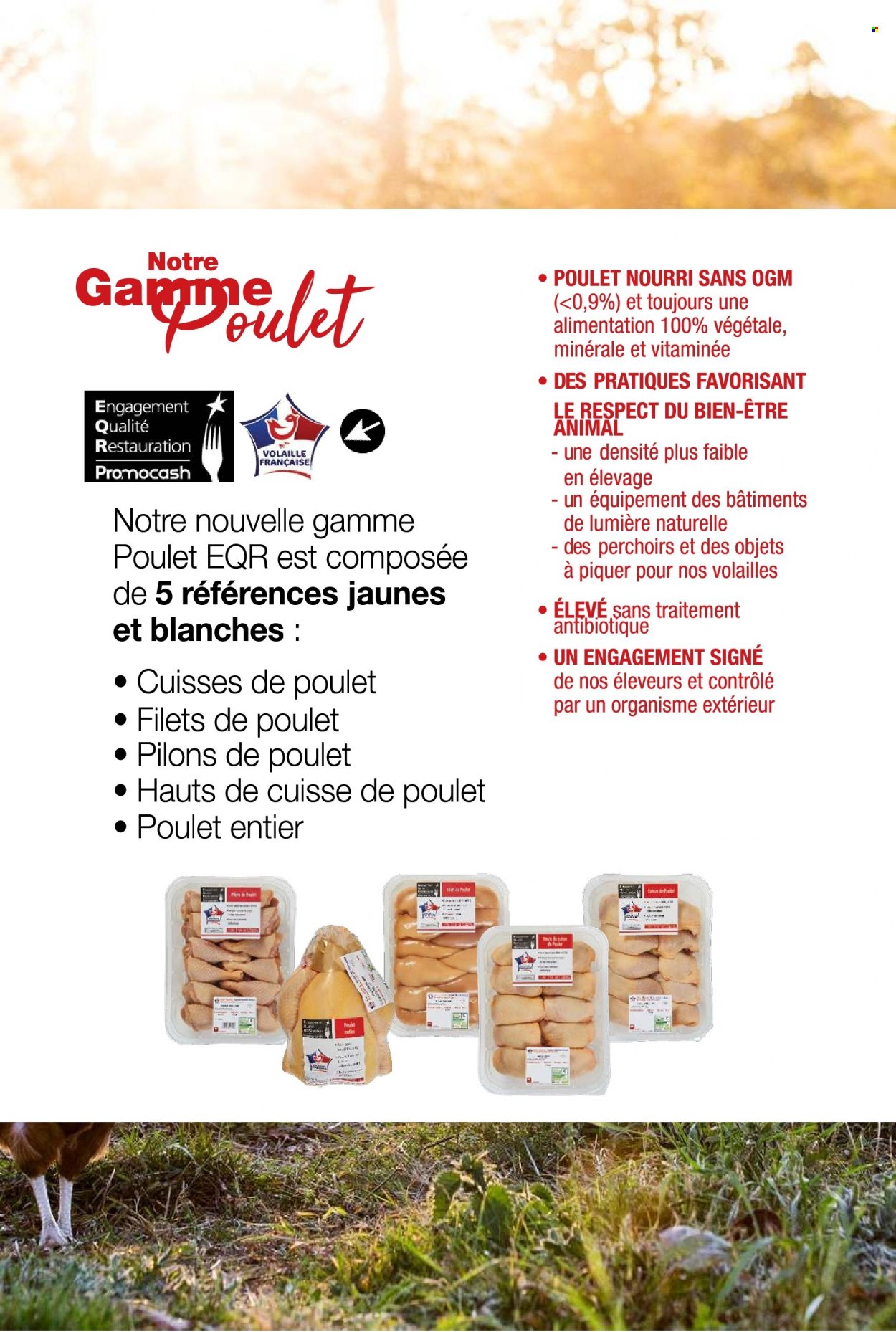 Catalogue Promocash - 26/10/2023 - 18/11/2023. Page 24