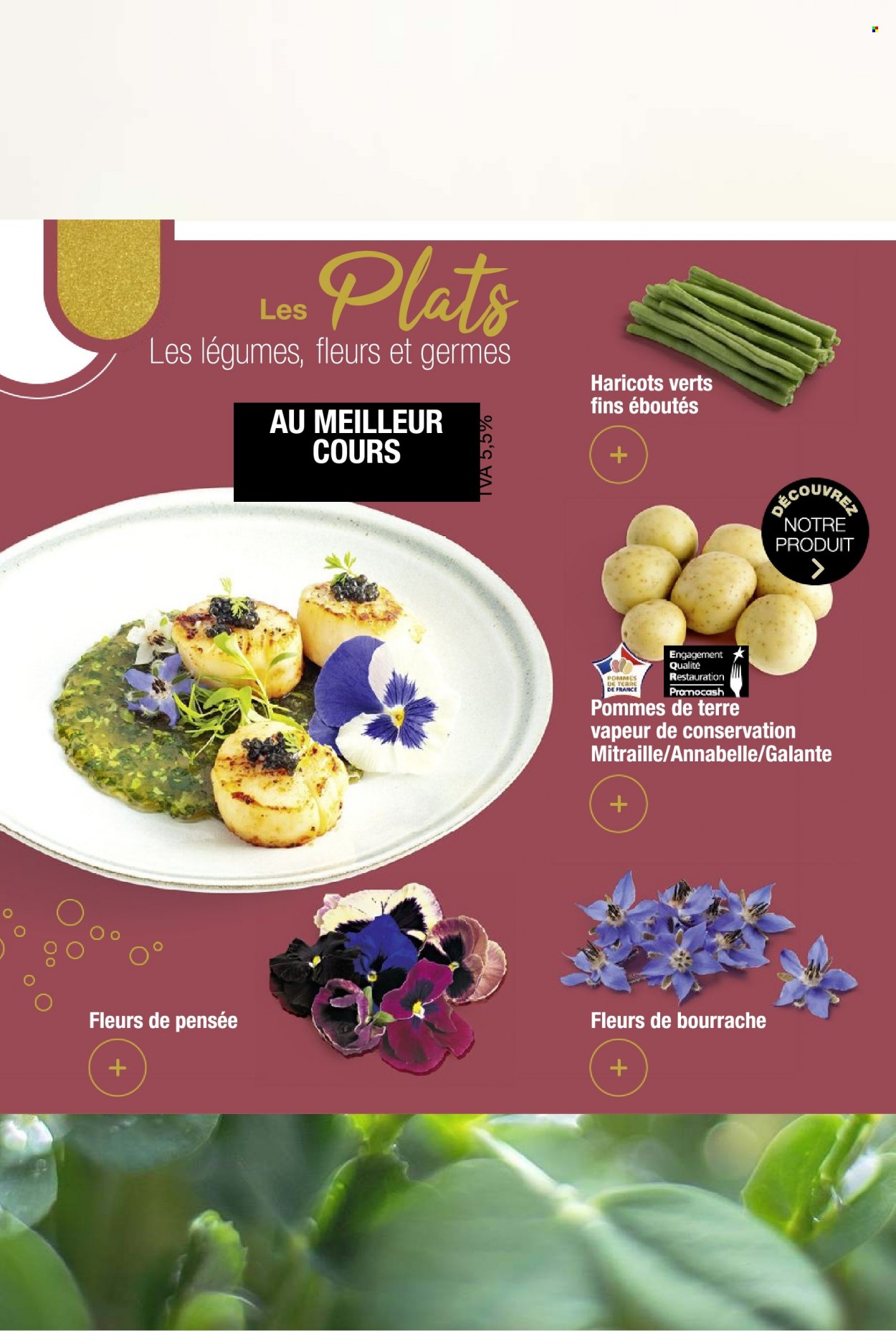Catalogue Promocash - 01/12/2023 - 30/12/2023. Page 44