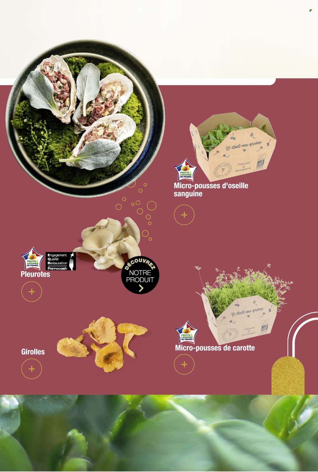 Catalogue Promocash - 01/12/2023 - 30/12/2023. Page 45