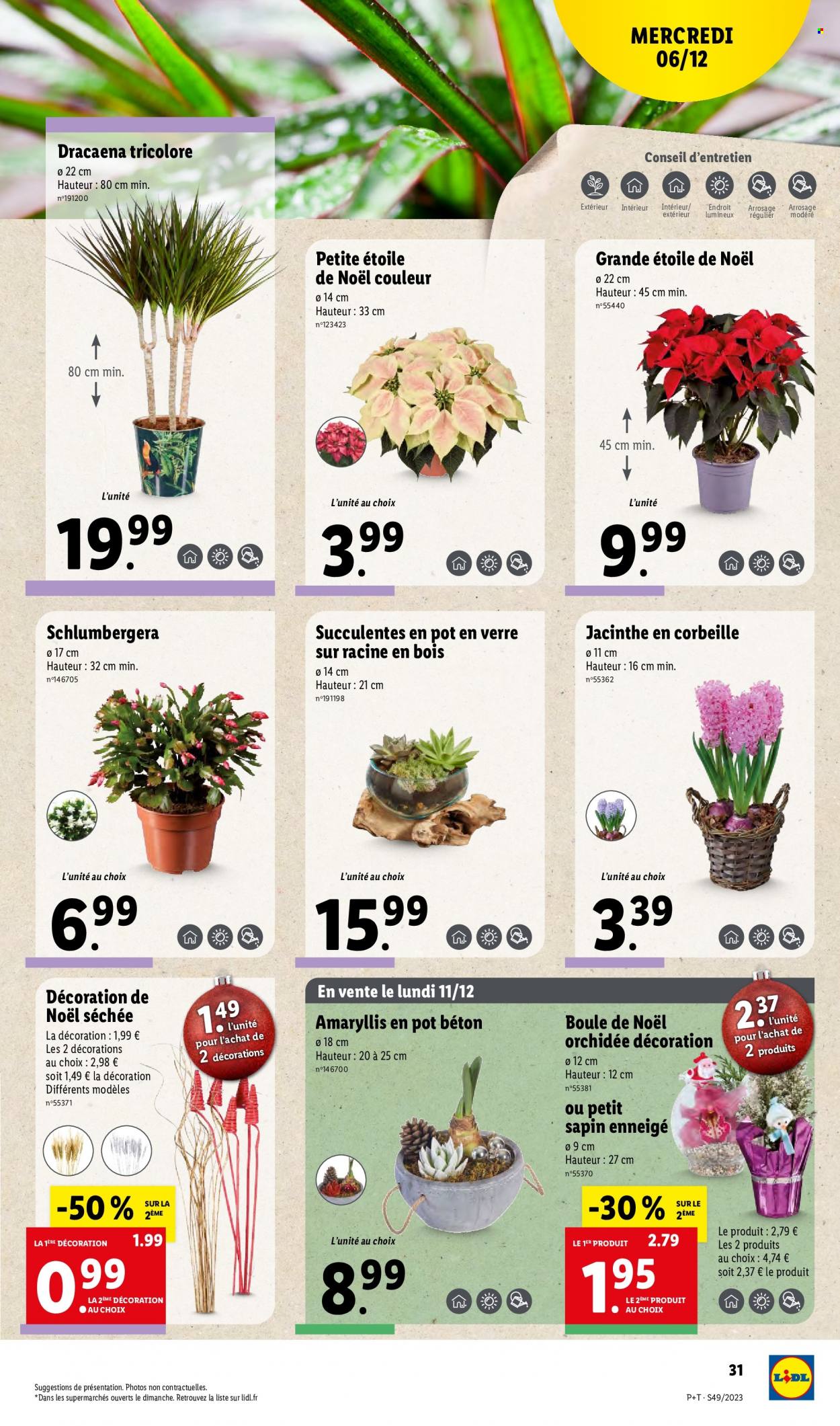 Catalogue Lidl - 06/12/2023 - 12/12/2023. Page 31