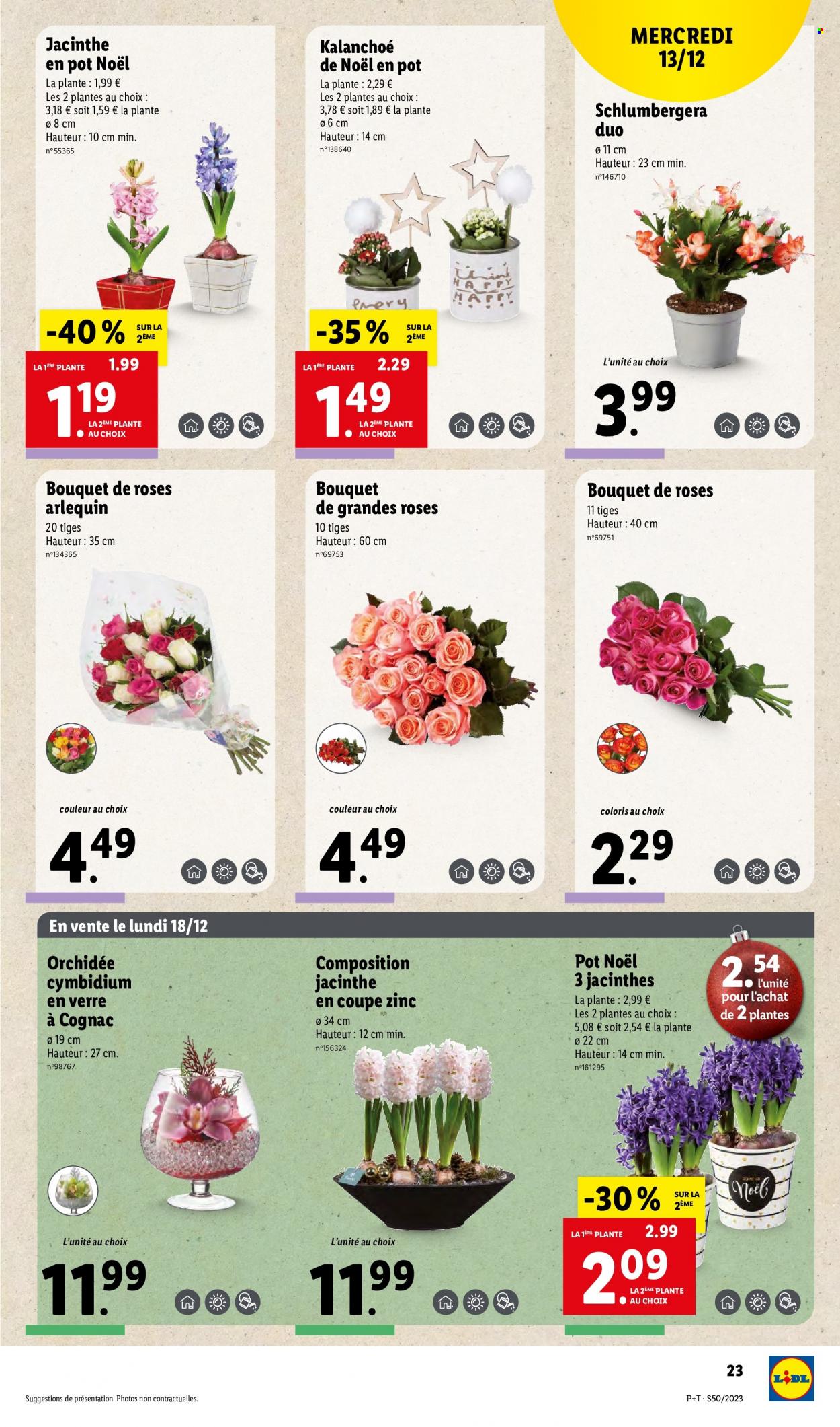 Catalogue Lidl - 13/12/2023 - 19/12/2023. Page 23