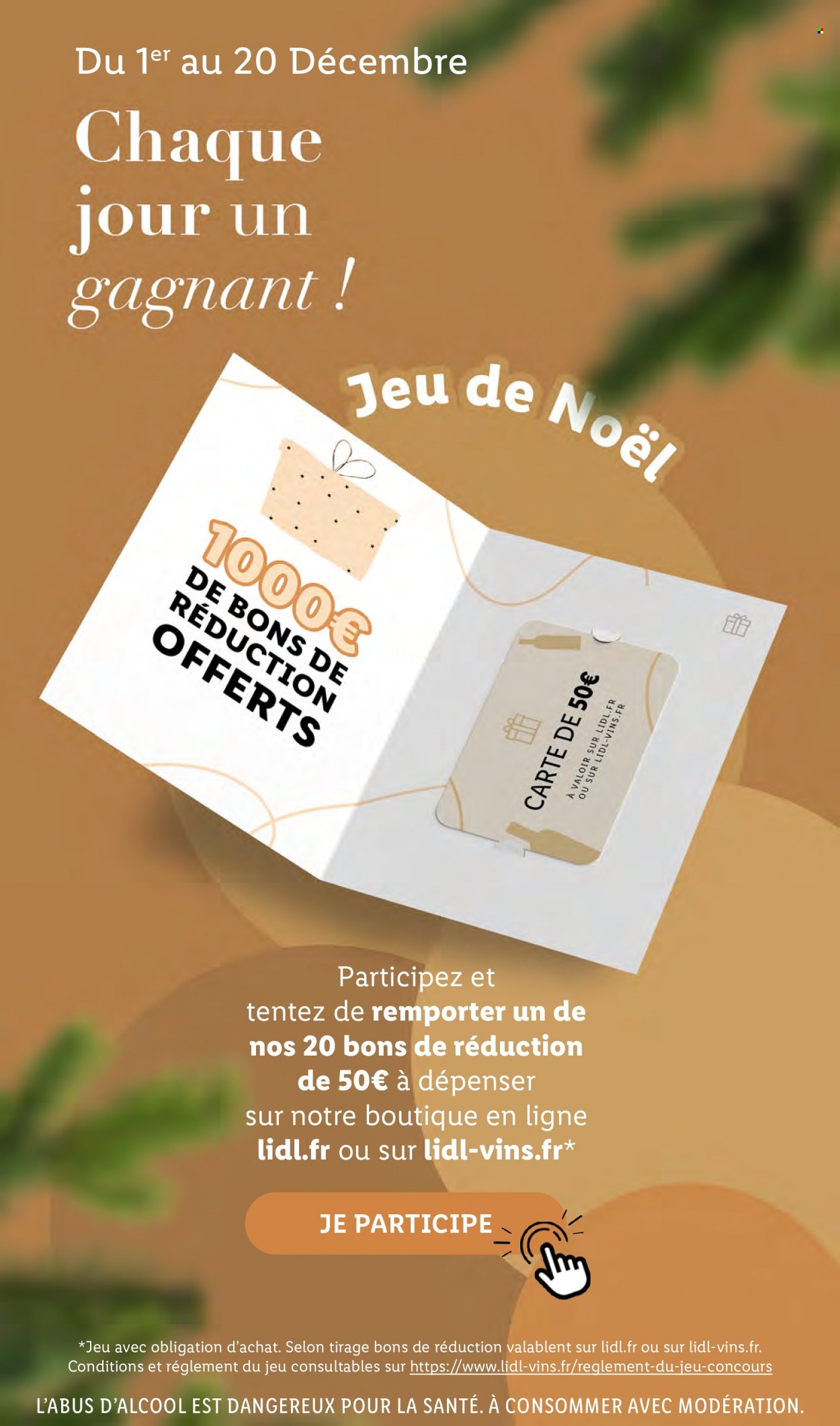 Catalogue Lidl - 13/12/2023 - 19/12/2023. Page 51