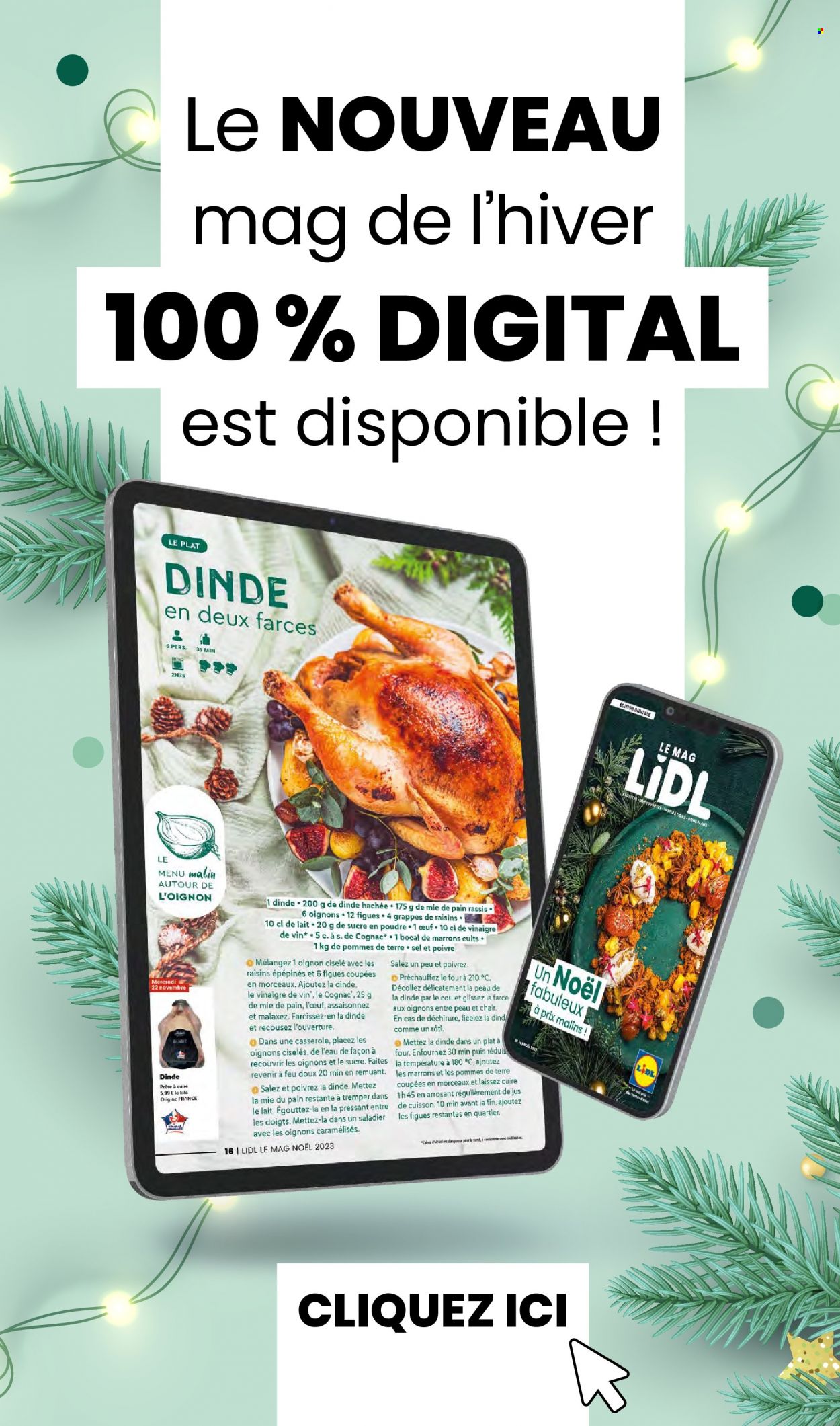 Catalogue Lidl - 27/12/2023 - 02/01/2024. Page 49