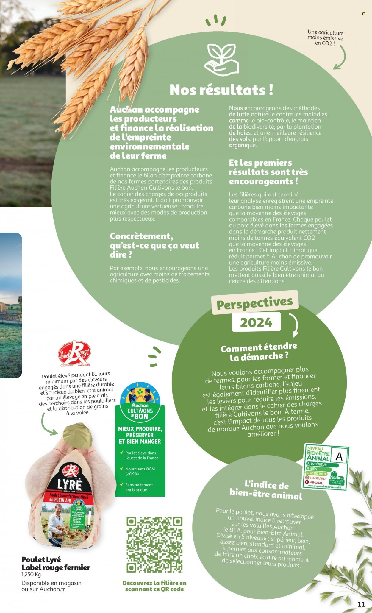 Catalogue Auchan - 01/01/2024 - 29/02/2024. Page 11