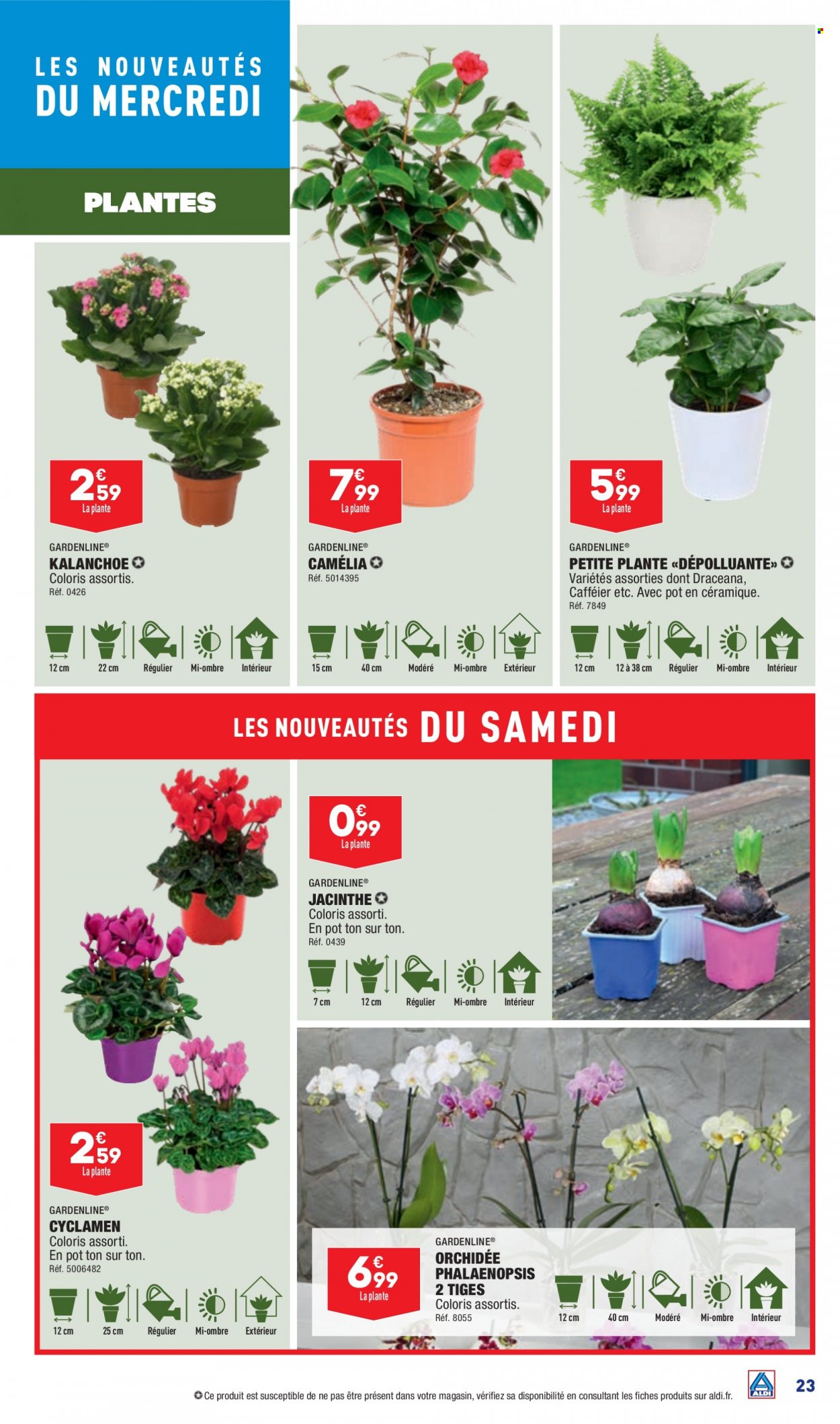 Catalogue ALDI - 03/01/2024 - 08/01/2024. Page 25