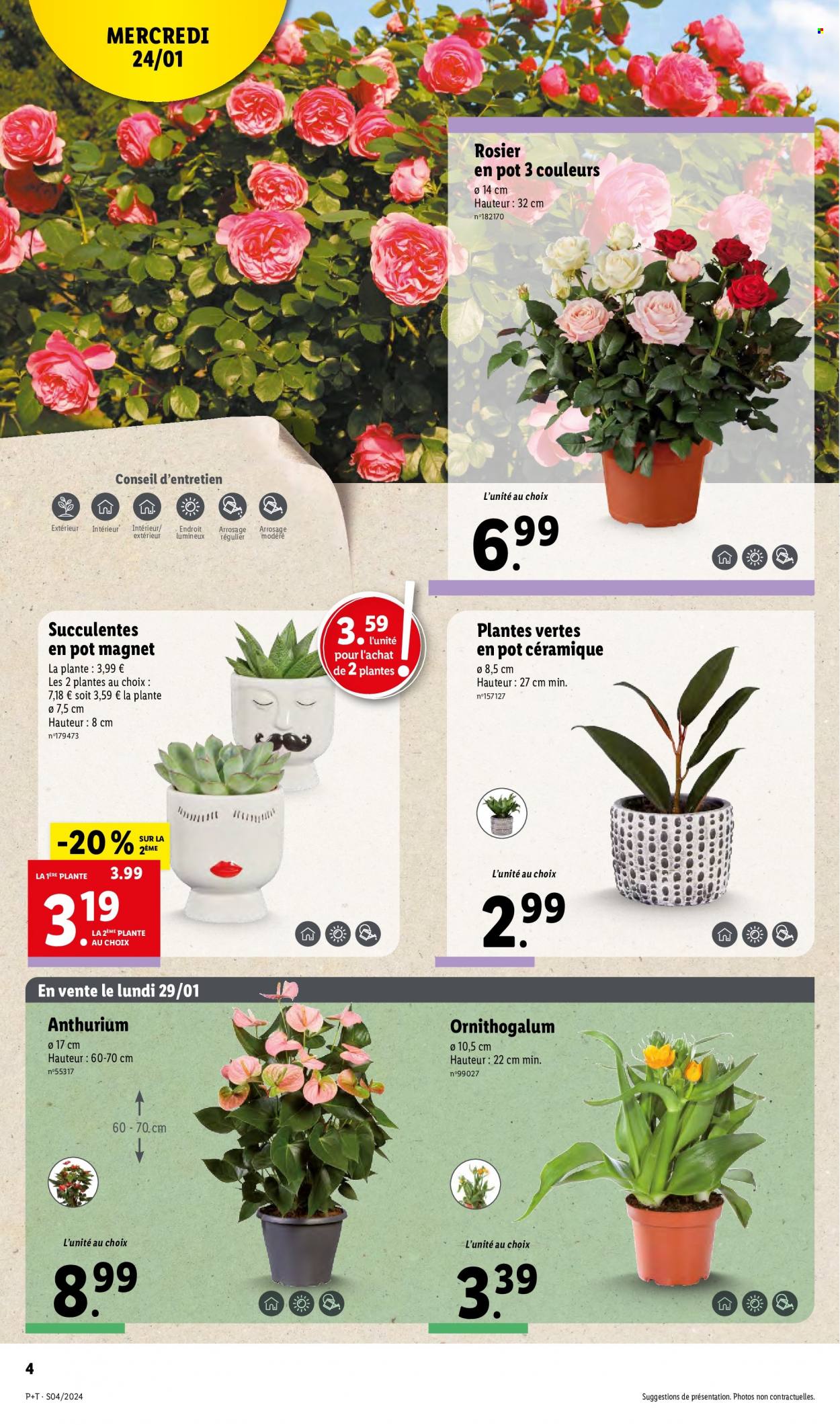 Catalogue Lidl - 24/01/2024 - 30/01/2024. Page 4