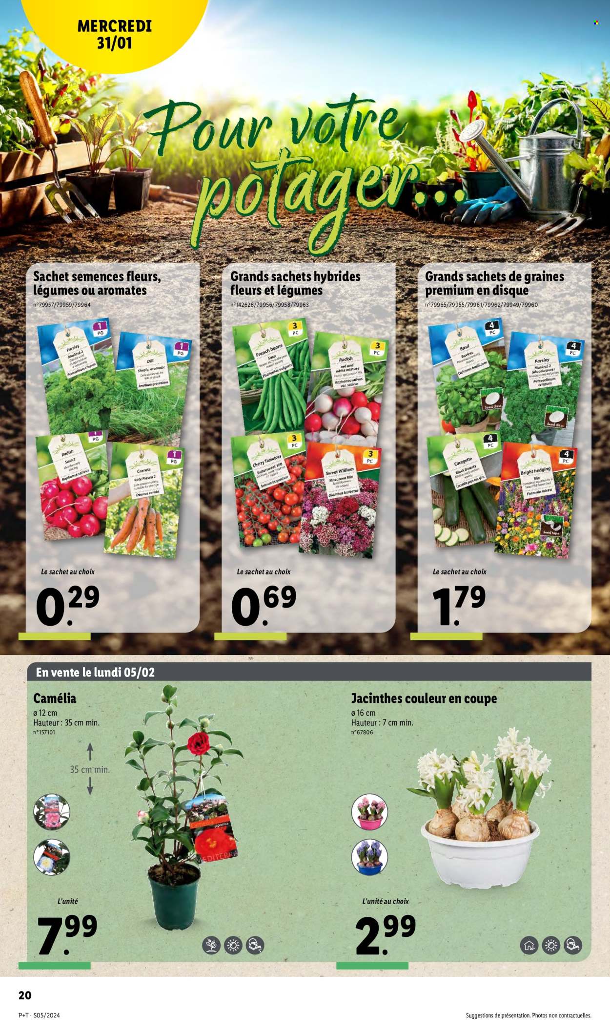 Catalogue Lidl - 31/01/2024 - 06/02/2024. Page 20