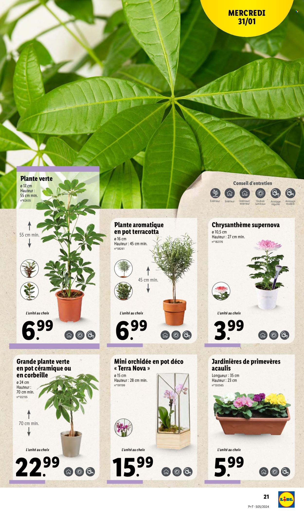 Catalogue Lidl - 31/01/2024 - 06/02/2024. Page 21