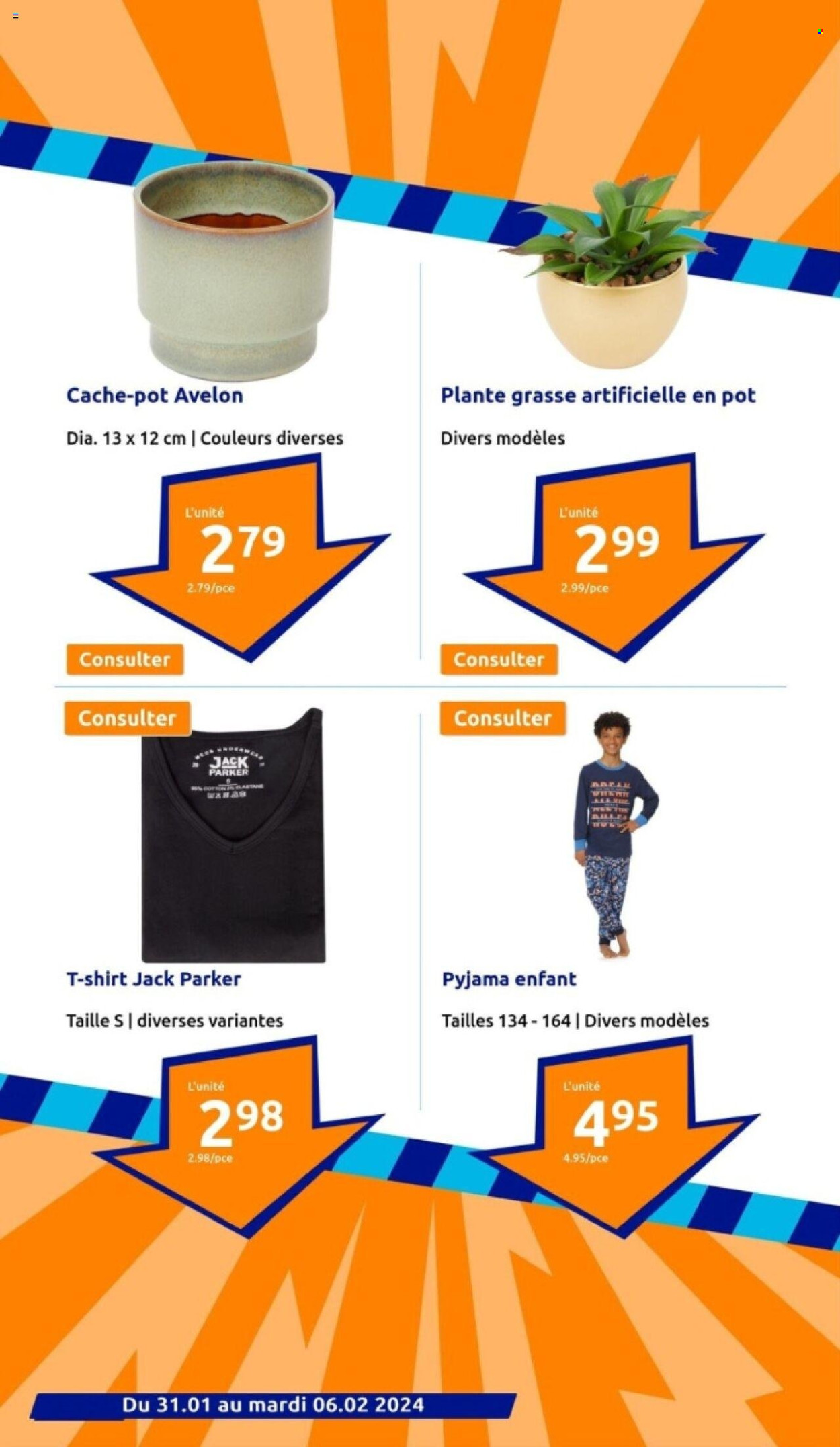 Catalogue Action - 31/01/2024 - 06/02/2024. Page 14
