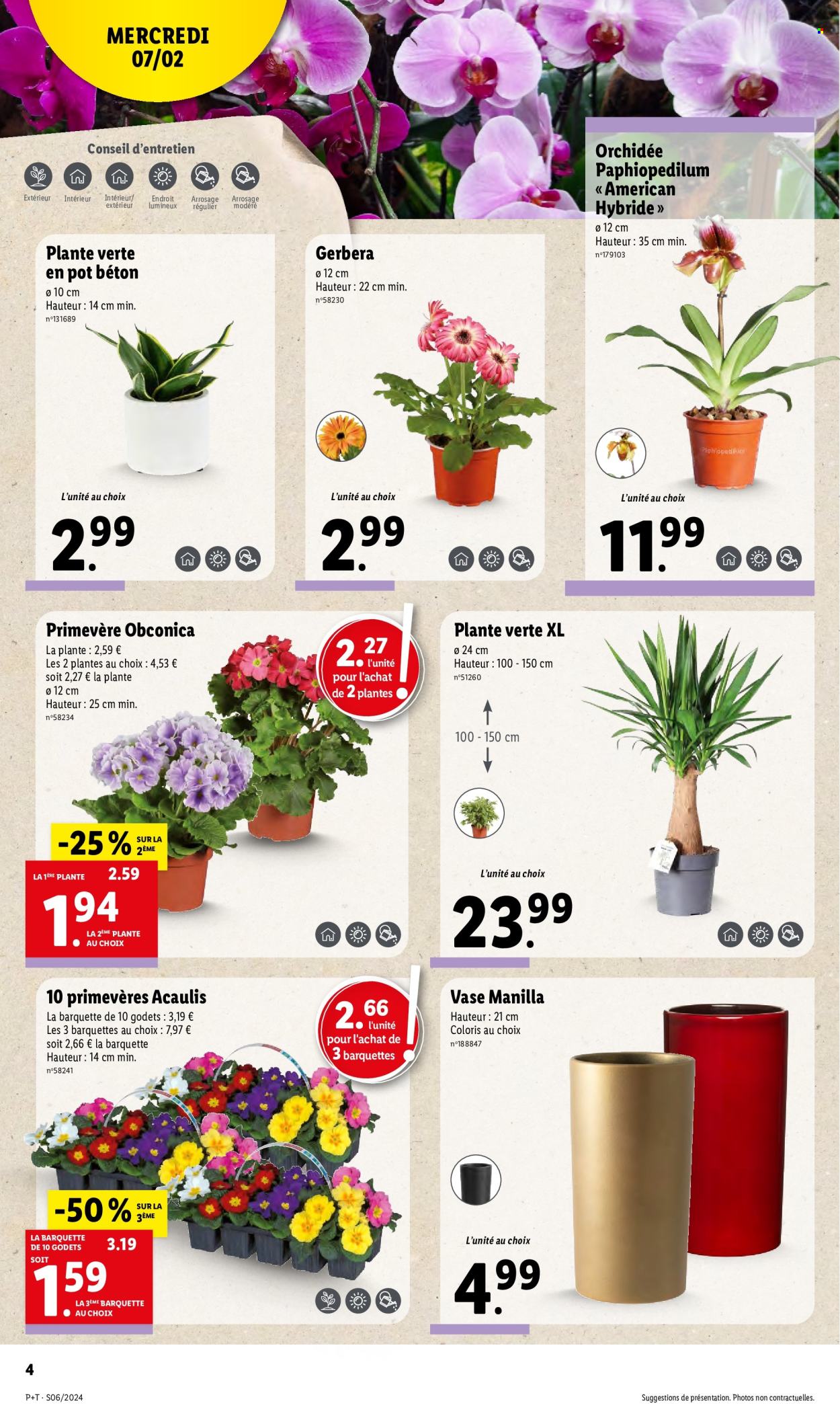 Catalogue Lidl - 07/02/2024 - 13/02/2024. Page 4