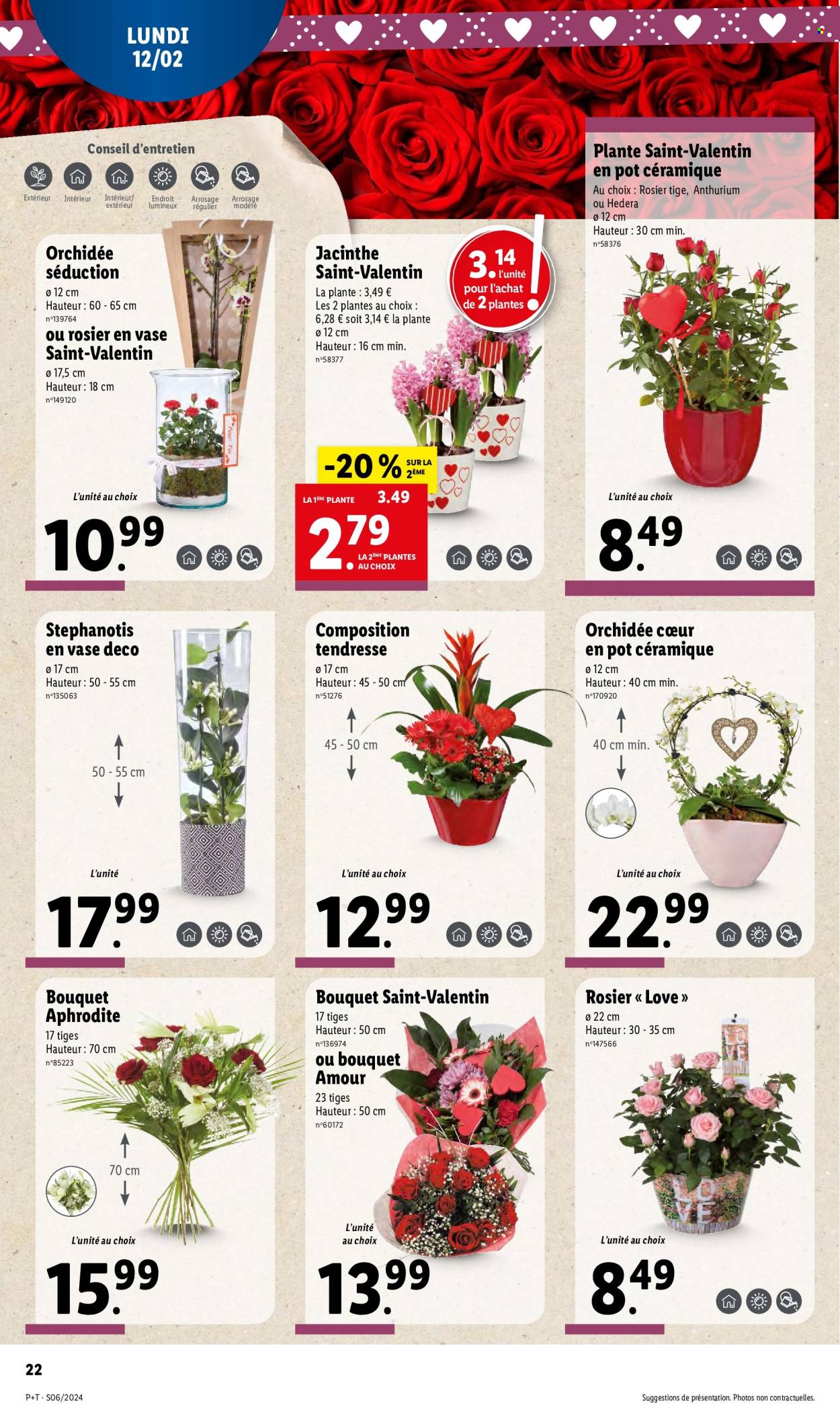 Catalogue Lidl - 07/02/2024 - 13/02/2024. Page 22