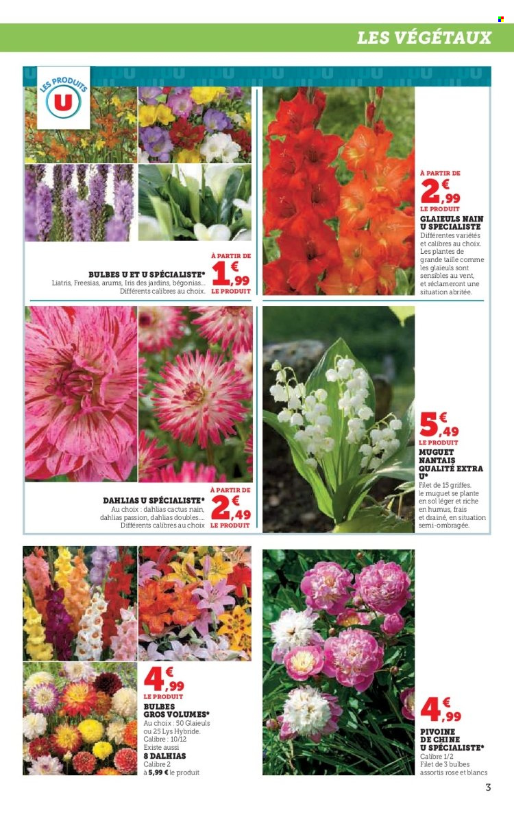 Catalogue SUPER U - 20/02/2024 - 03/03/2024. Page 3