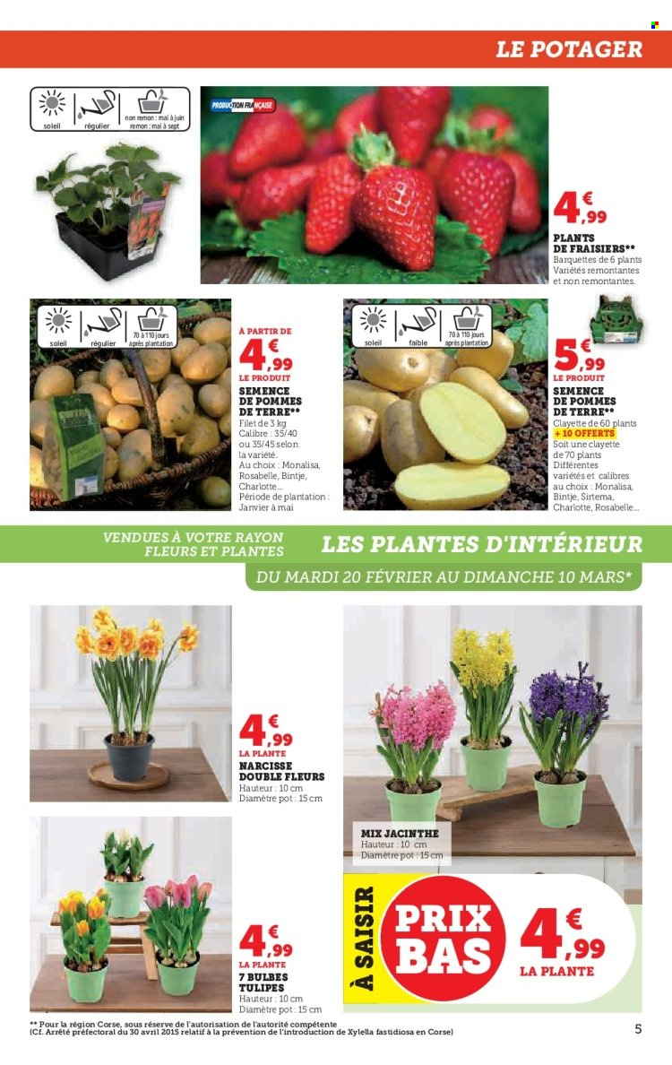 Catalogue SUPER U - 20/02/2024 - 03/03/2024. Page 5
