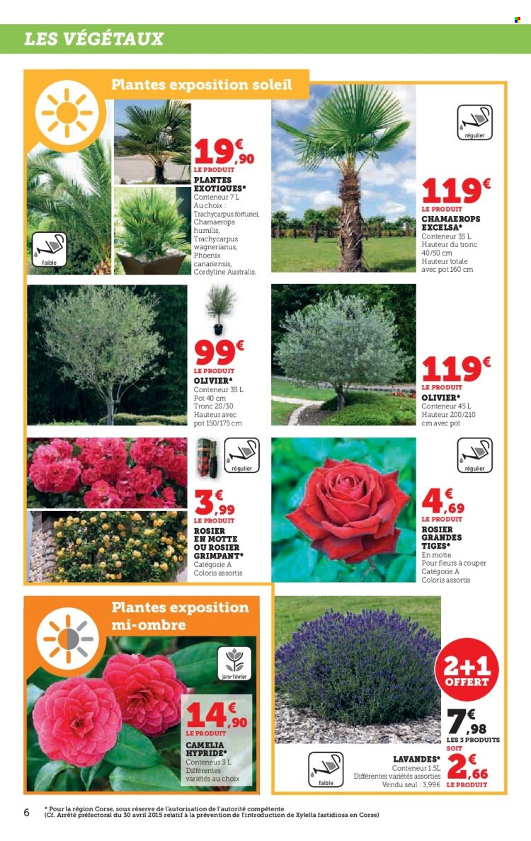 Catalogue HYPER U - 20/02/2024 - 17/03/2024. Page 6