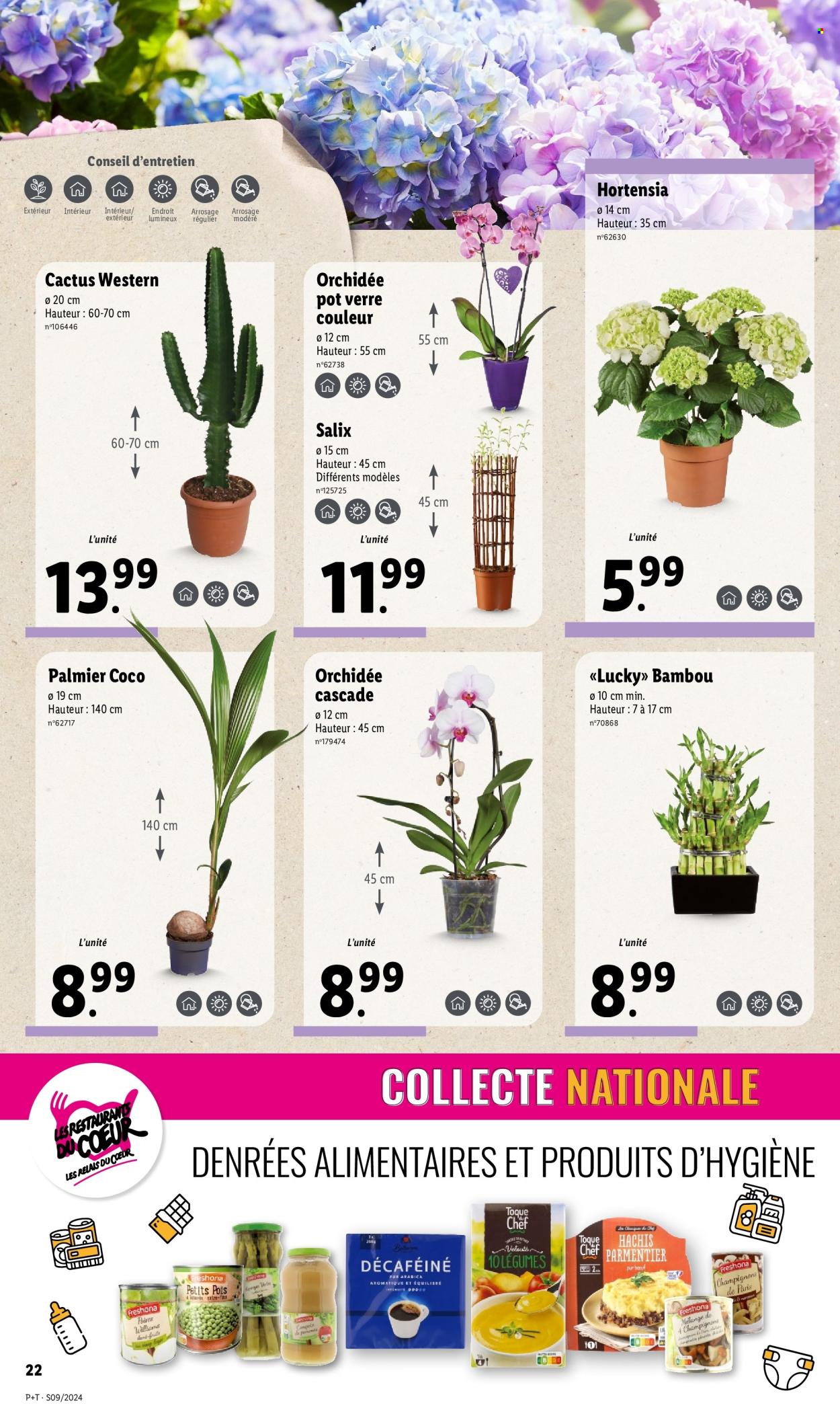 Catalogue Lidl - 28/02/2024 - 05/03/2024. Page 22