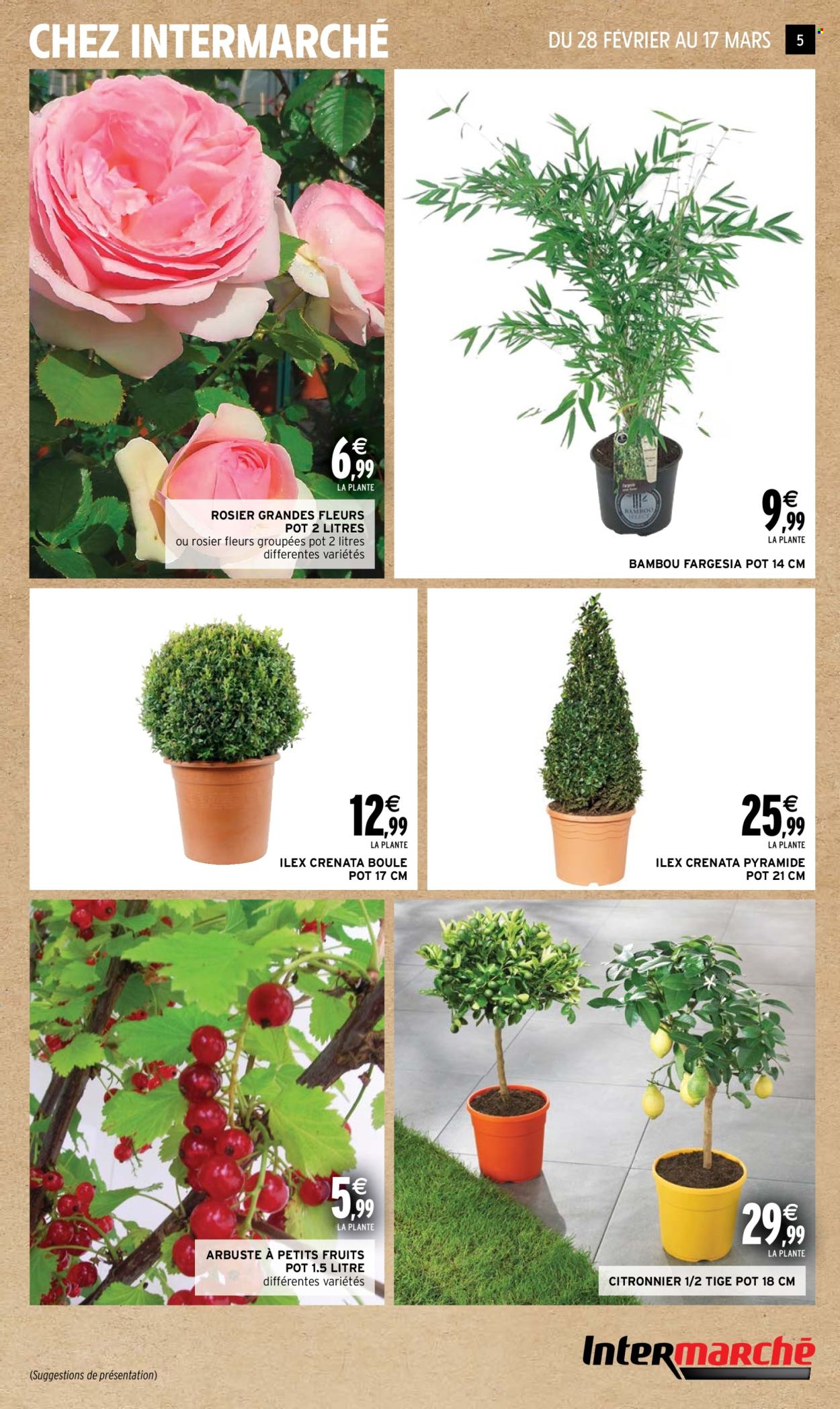 Catalogue Intermarché - 27/02/2024 - 08/03/2024. Page 5