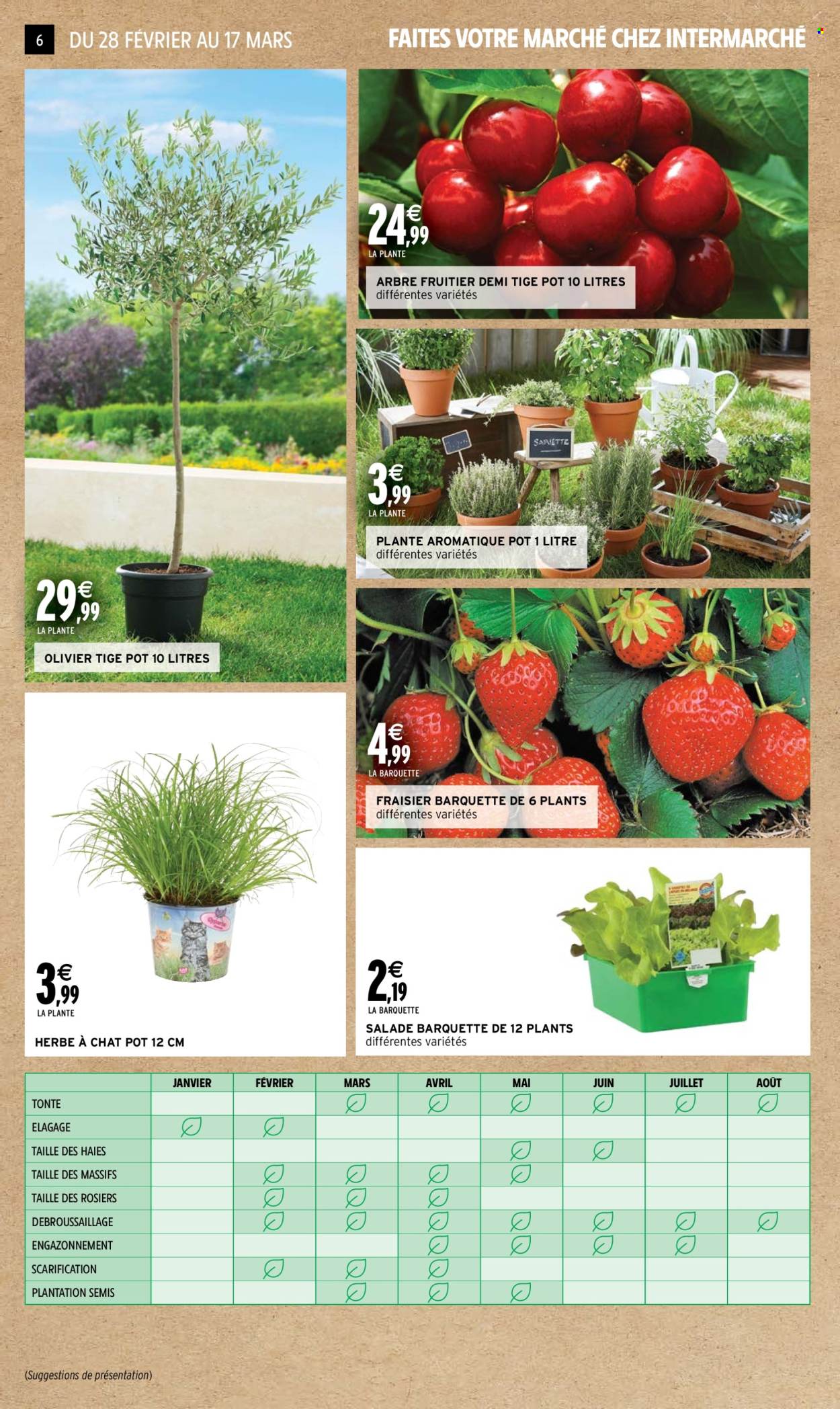 Catalogue Intermarché - 27/02/2024 - 08/03/2024. Page 6