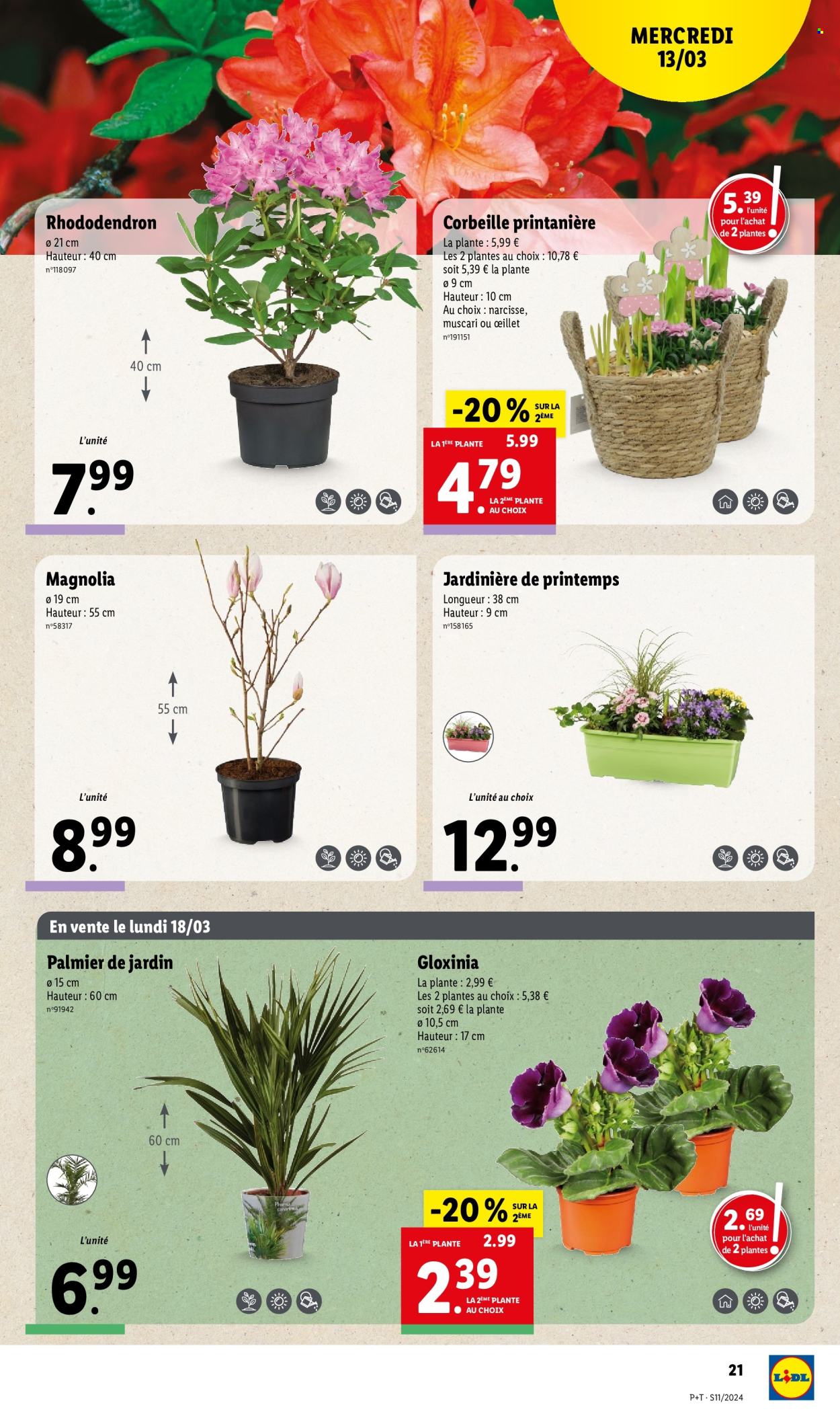 Catalogue Lidl - 13/03/2024 - 19/03/2024. Page 21
