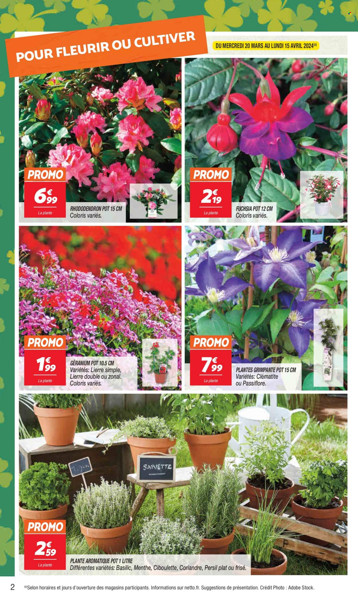 Catalogue Netto - 19/03/2024 - 15/04/2024. Page 2