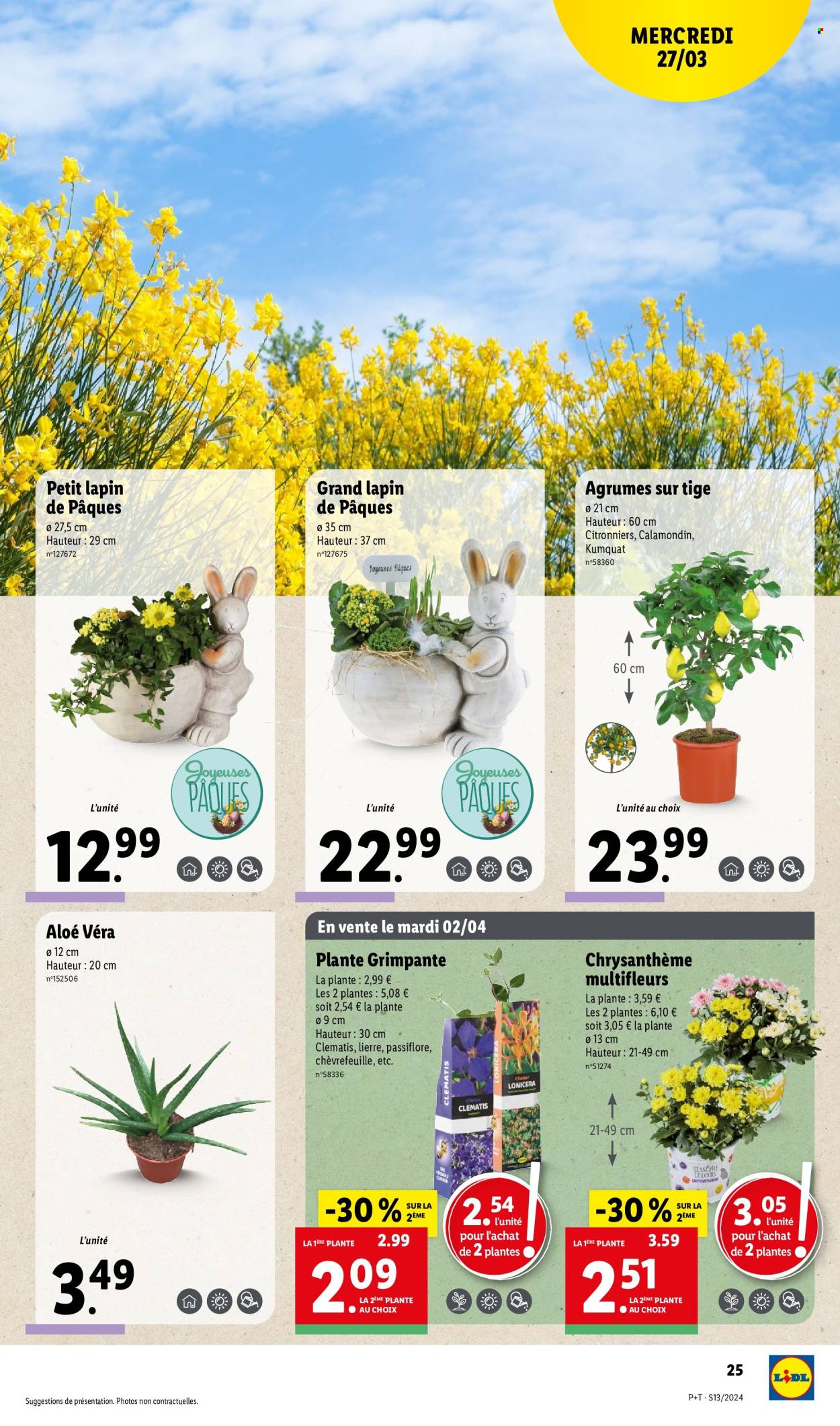 Catalogue Lidl - 27/03/2024 - 02/04/2024. Page 25
