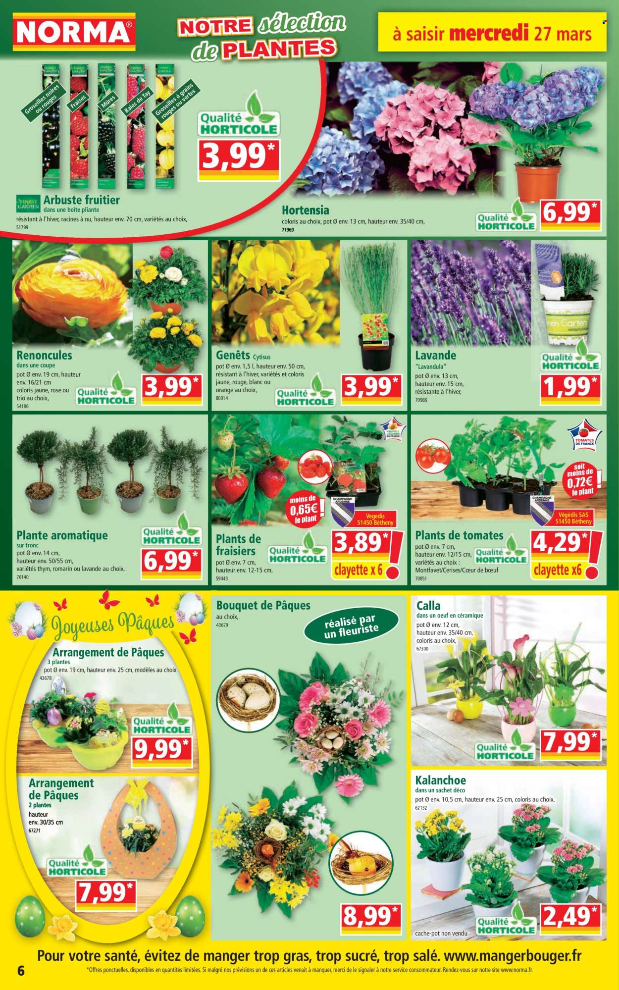 Catalogue Norma - 27/03/2024 - 02/04/2024. Page 6