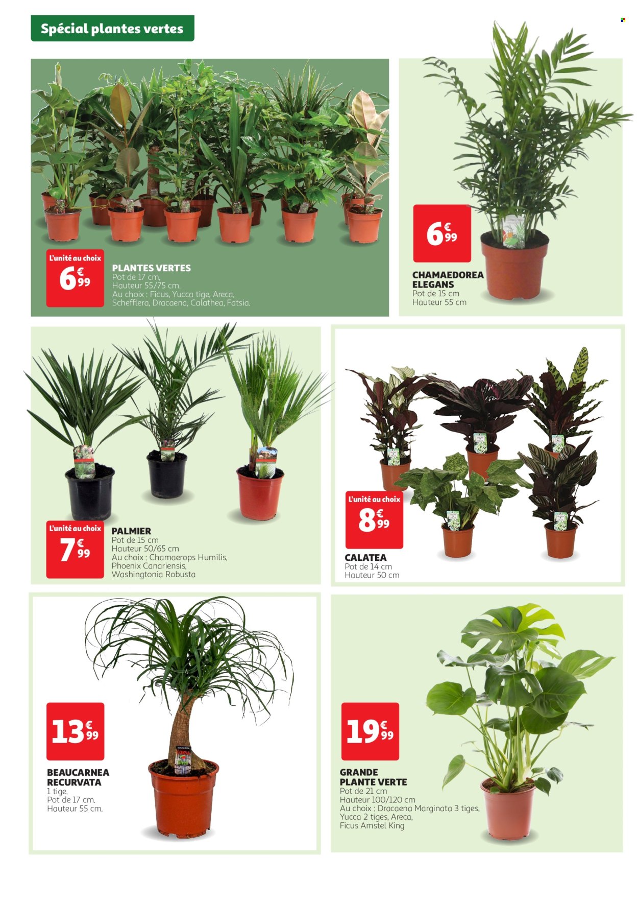 Catalogue Auchan - 20/03/2024 - 24/03/2024. Page 2