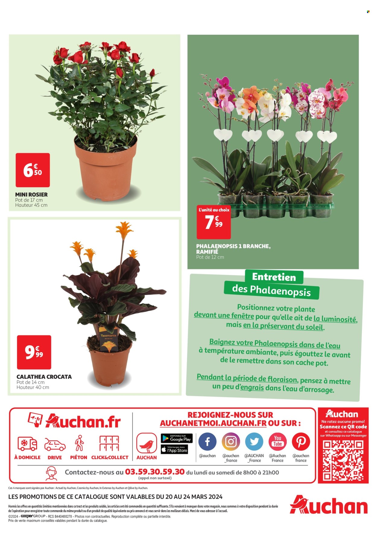 Catalogue Auchan - 20/03/2024 - 24/03/2024. Page 3