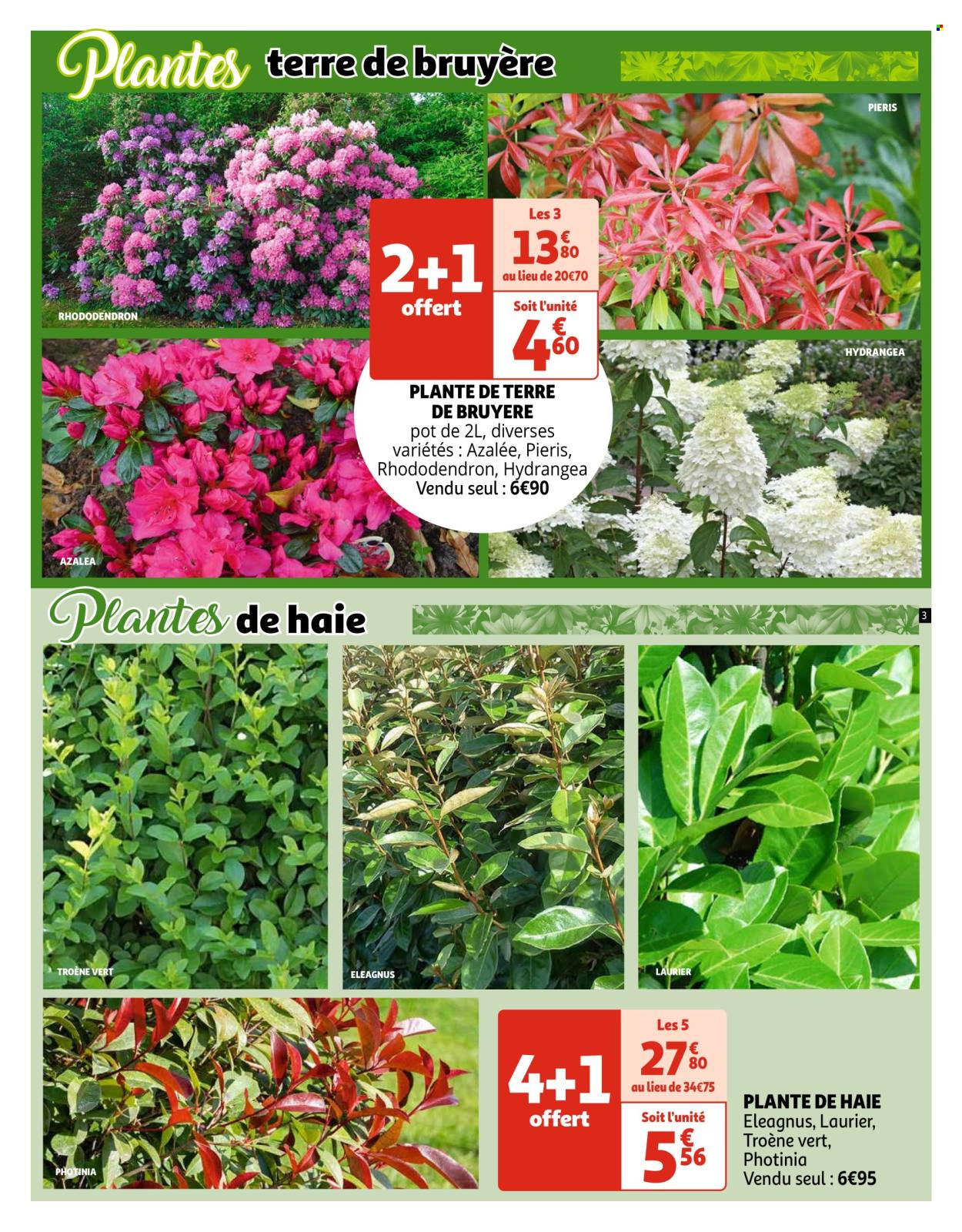 Catalogue Auchan - 19/03/2024 - 25/03/2024. Page 3