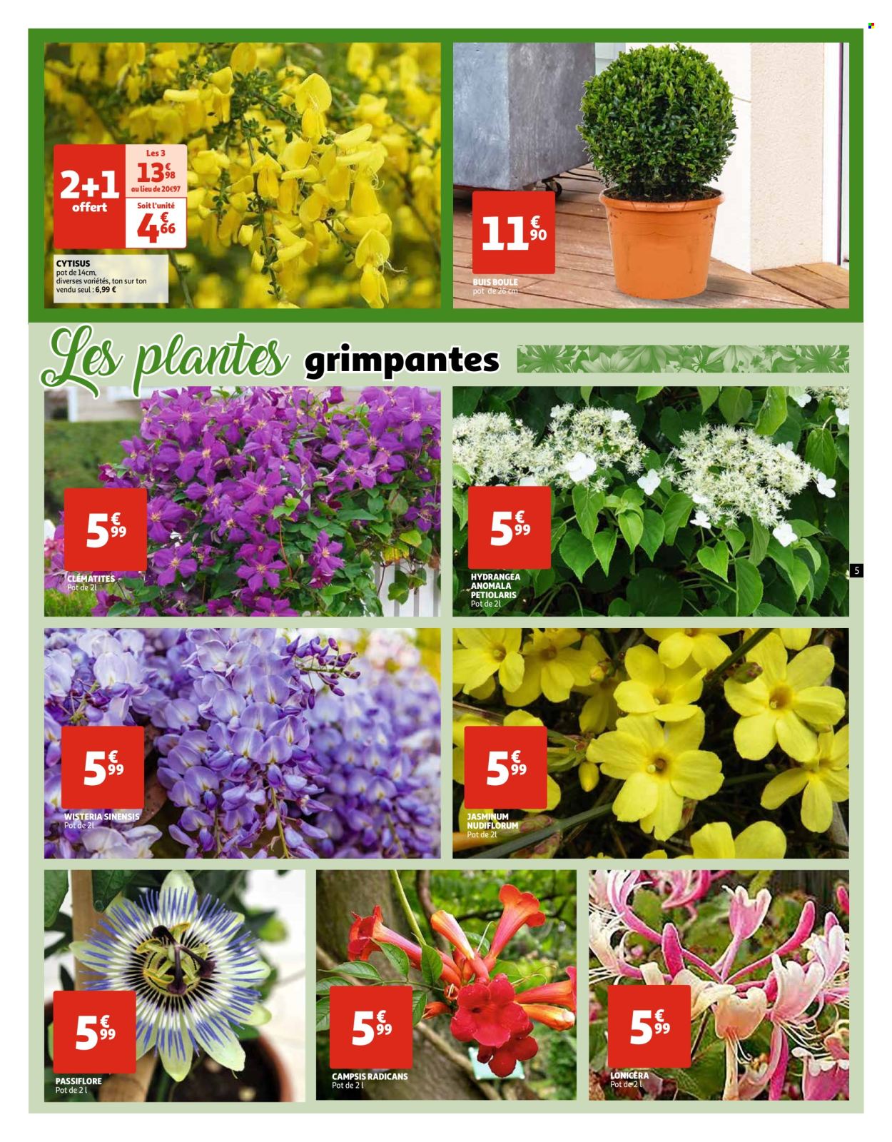 Catalogue Auchan - 19/03/2024 - 25/03/2024. Page 5