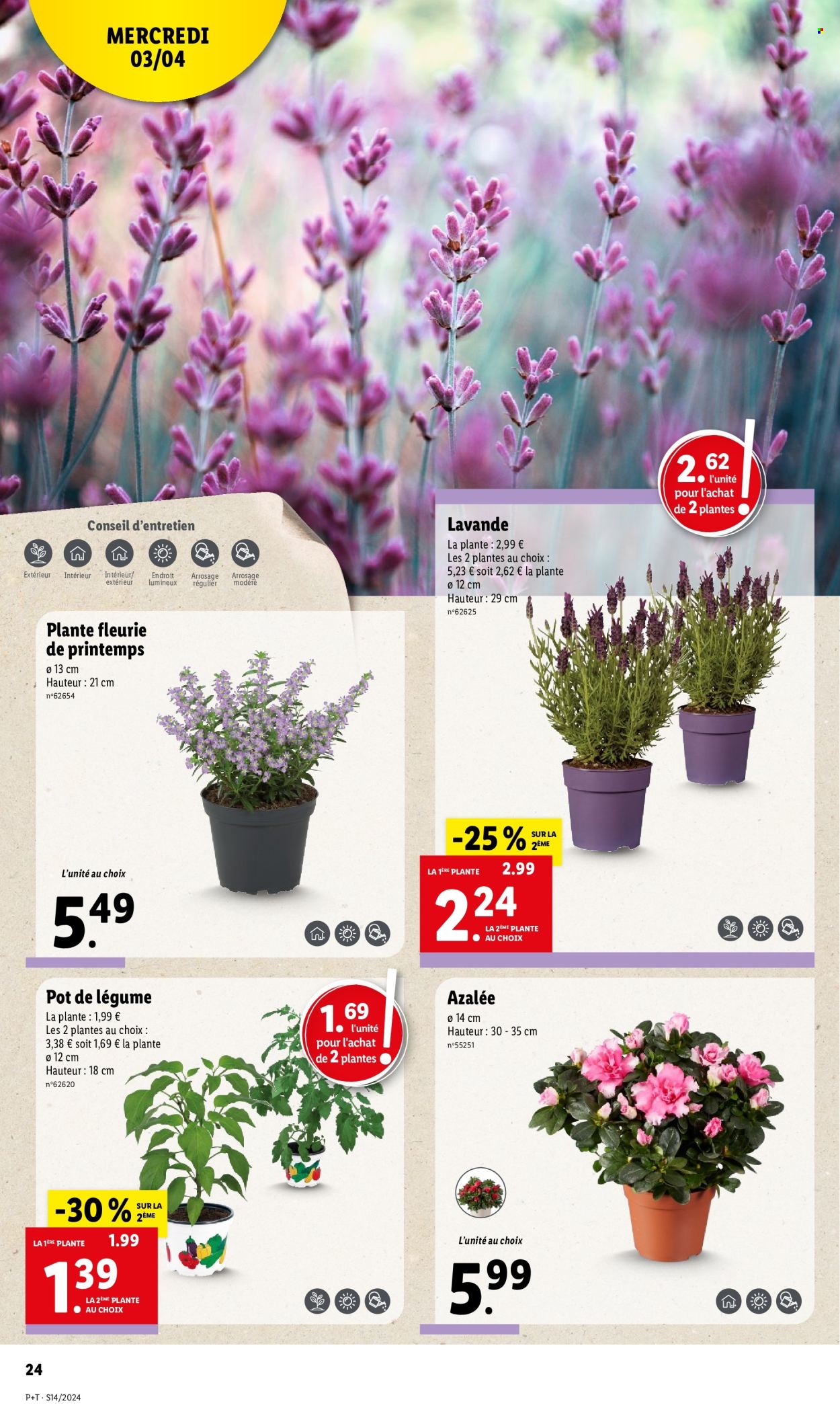 Catalogue Lidl - 03/04/2024 - 09/04/2024. Page 24