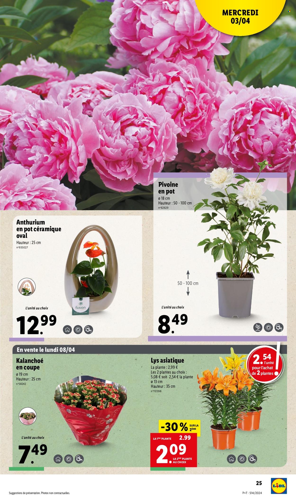 Catalogue Lidl - 03/04/2024 - 09/04/2024. Page 25