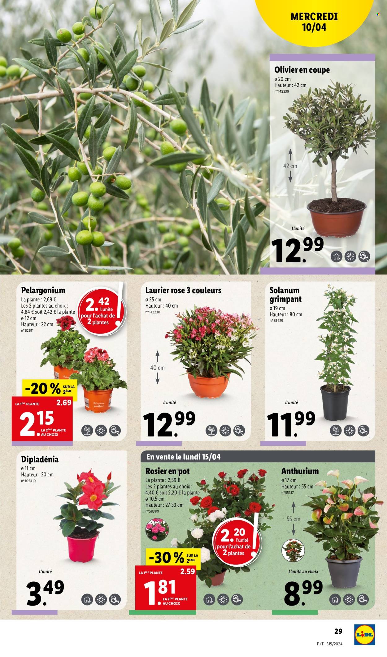 Catalogue Lidl - 10/04/2024 - 16/04/2024. Page 29
