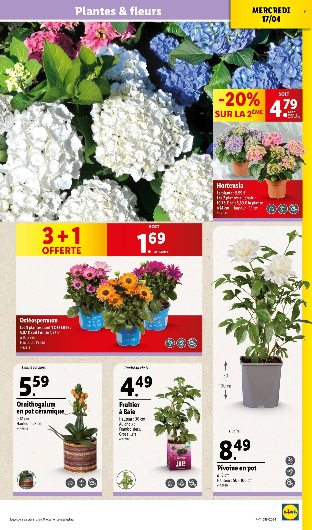 Catalogue Lidl - 17/04/2024 - 23/04/2024. Page 29