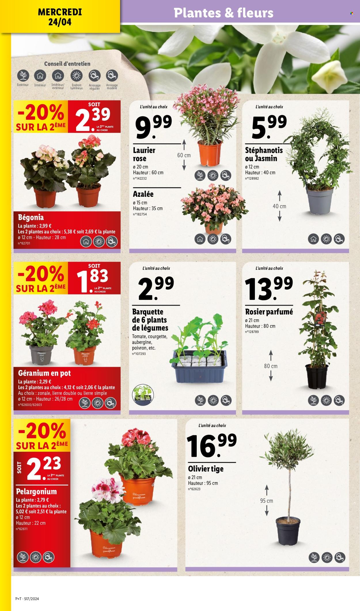 Catalogue Lidl - 24/04/2024 - 30/04/2024. Page 4