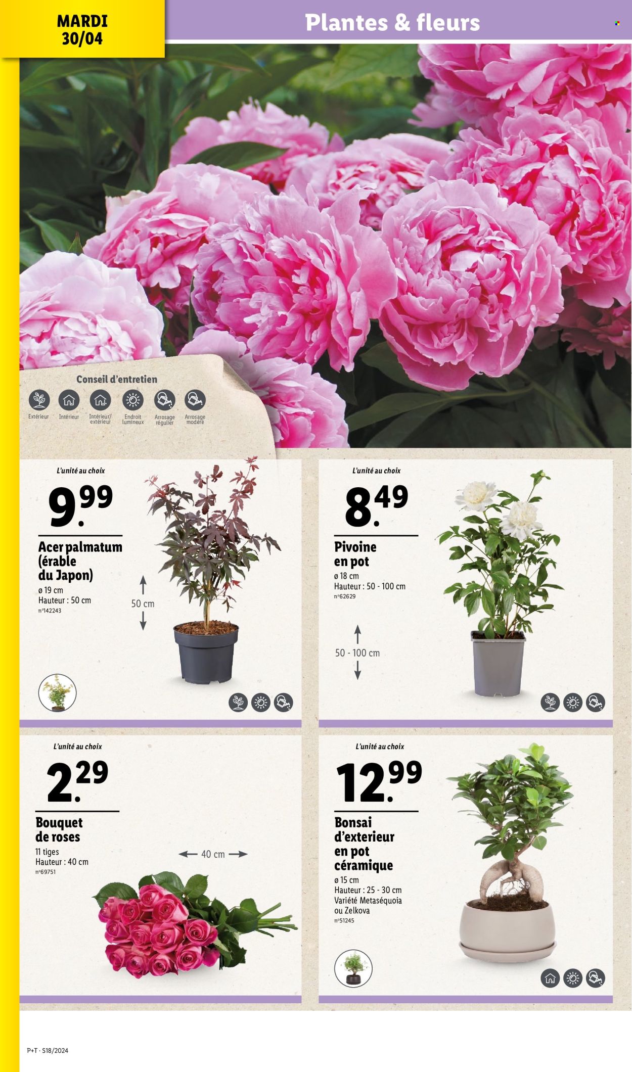 Catalogue Lidl - 30/04/2024 - 07/05/2024. Page 2