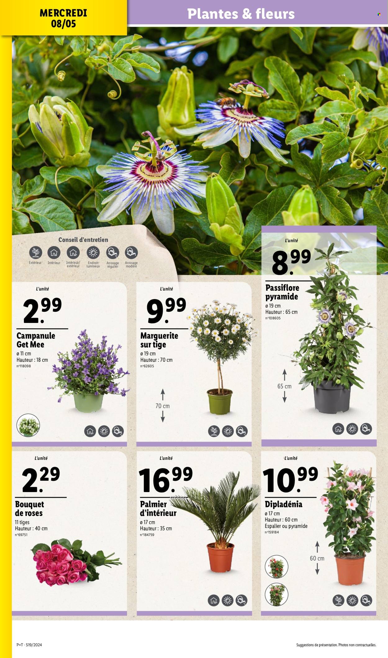 Catalogue Lidl - 08/05/2024 - 14/05/2024. Page 28