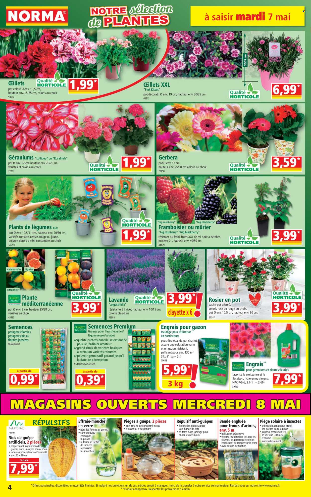 Catalogue Norma - 10/05/2024 - 14/05/2024. Page 4