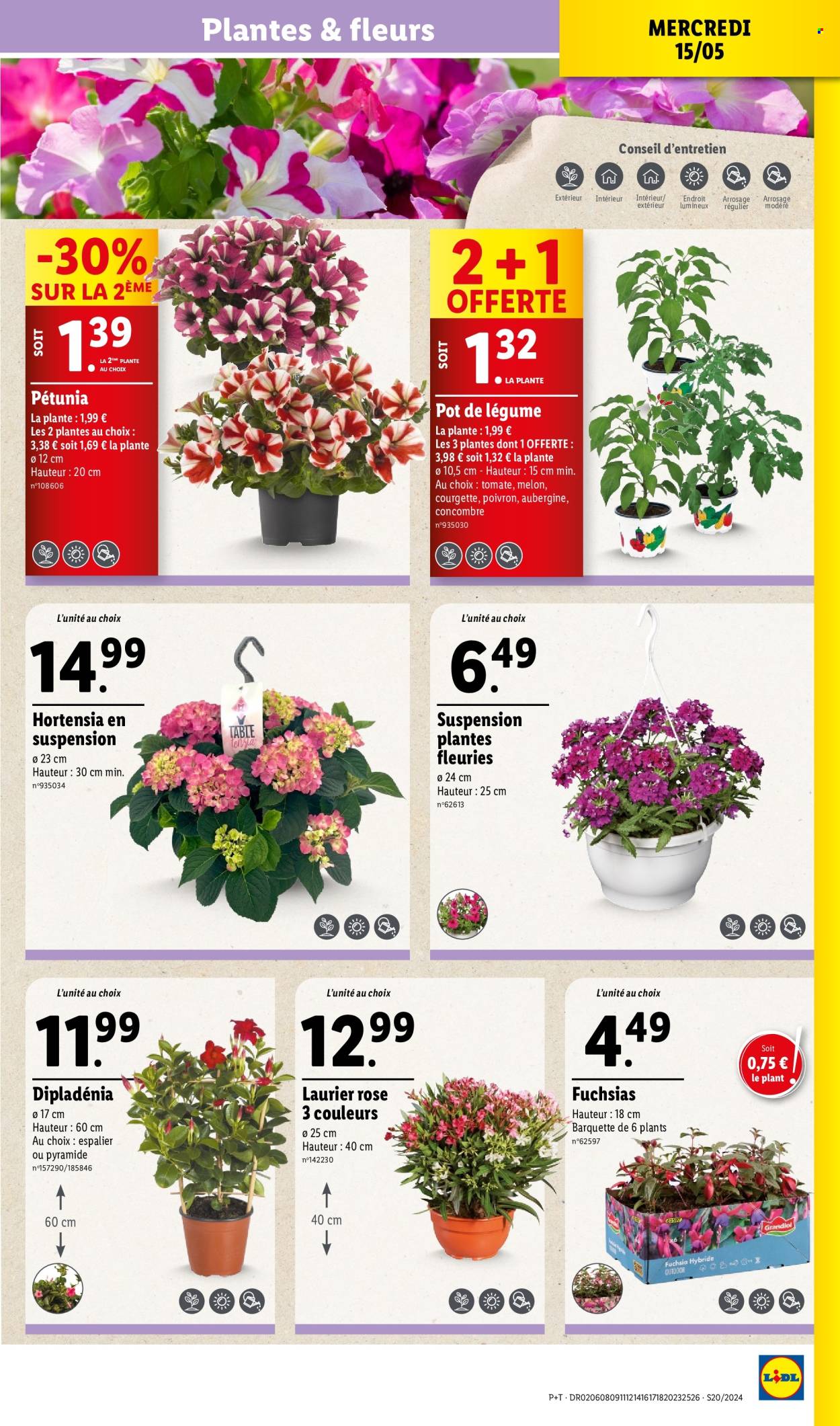 Catalogue Lidl - 15/05/2024 - 21/05/2024. Page 31